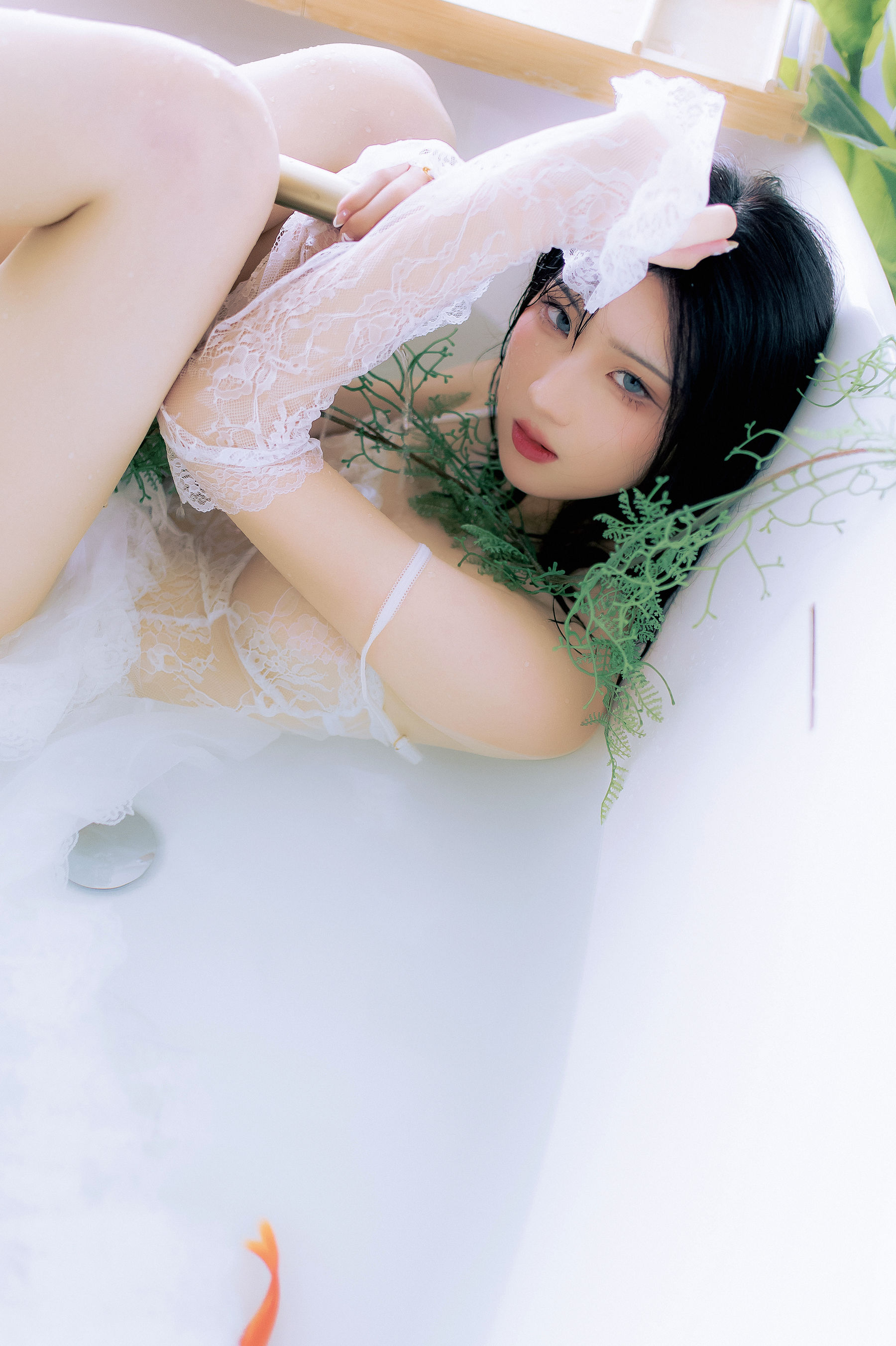 瓦斯塔亚小龙虾 – 鲸 [23P]