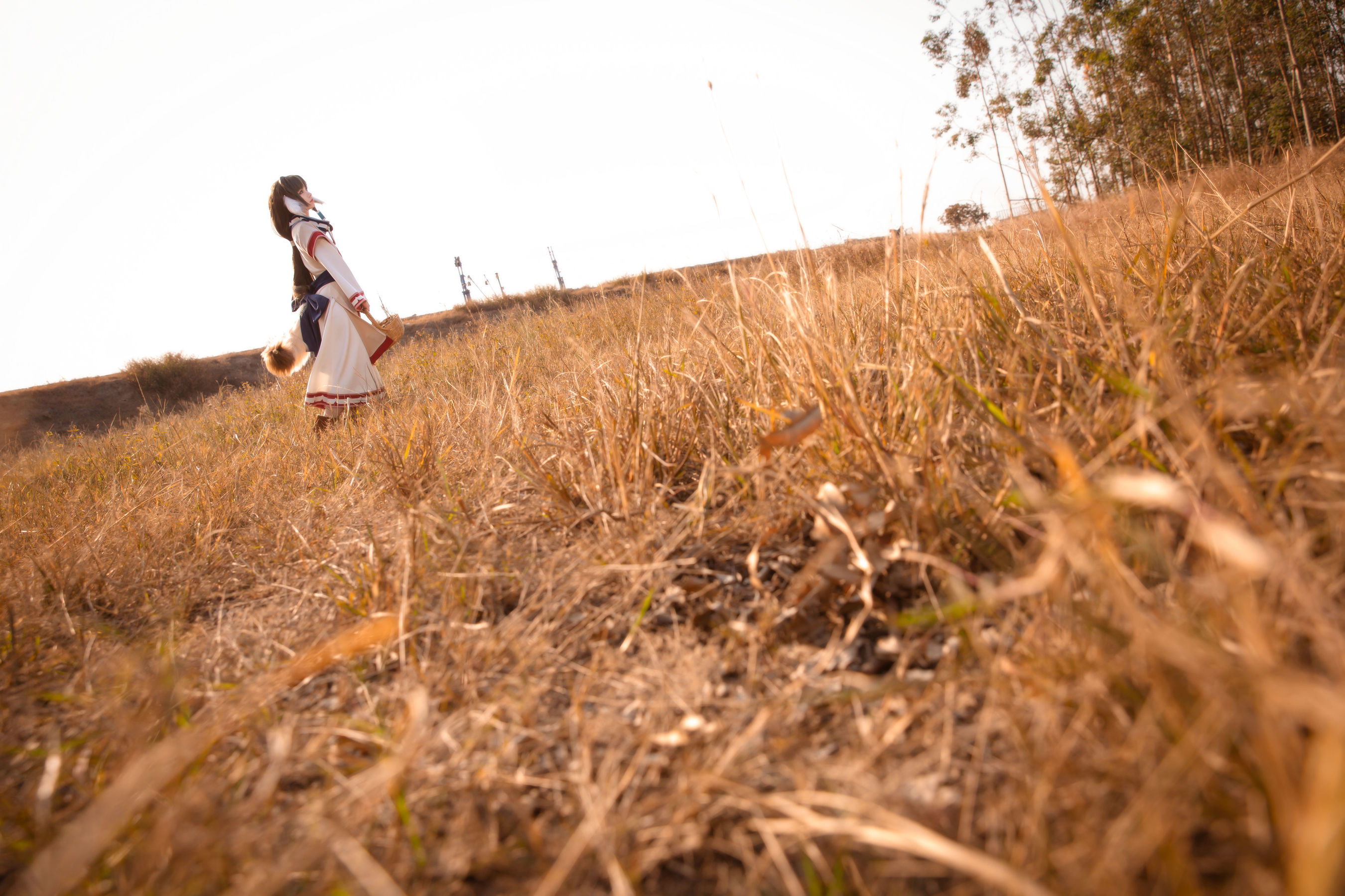 动漫博主G44不会受伤 – 艾露露 [17P]