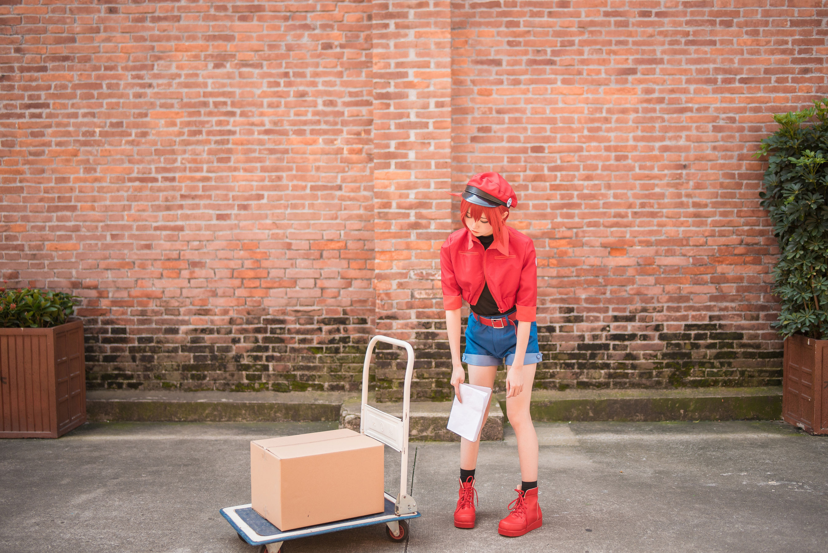 动漫博主Kitaro_绮太郎 工作细胞 [58P]