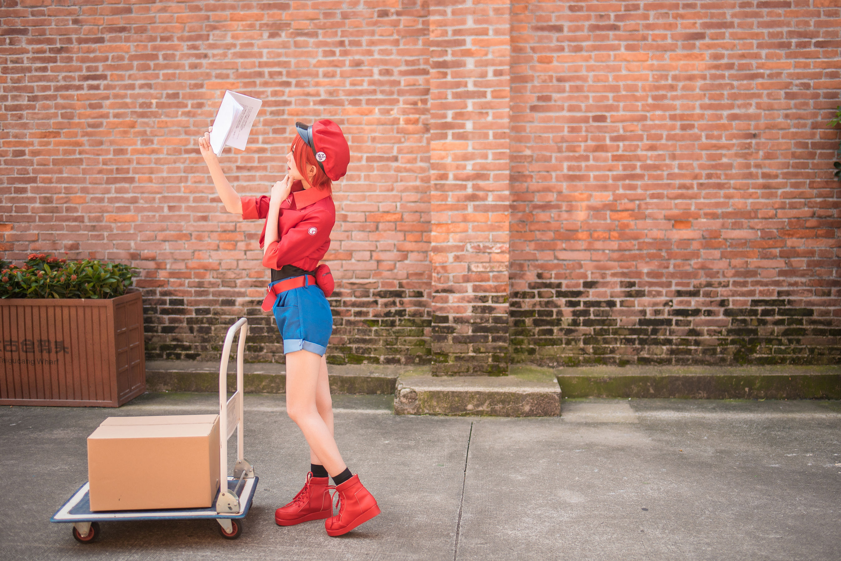 动漫博主Kitaro_绮太郎 工作细胞 [58P]