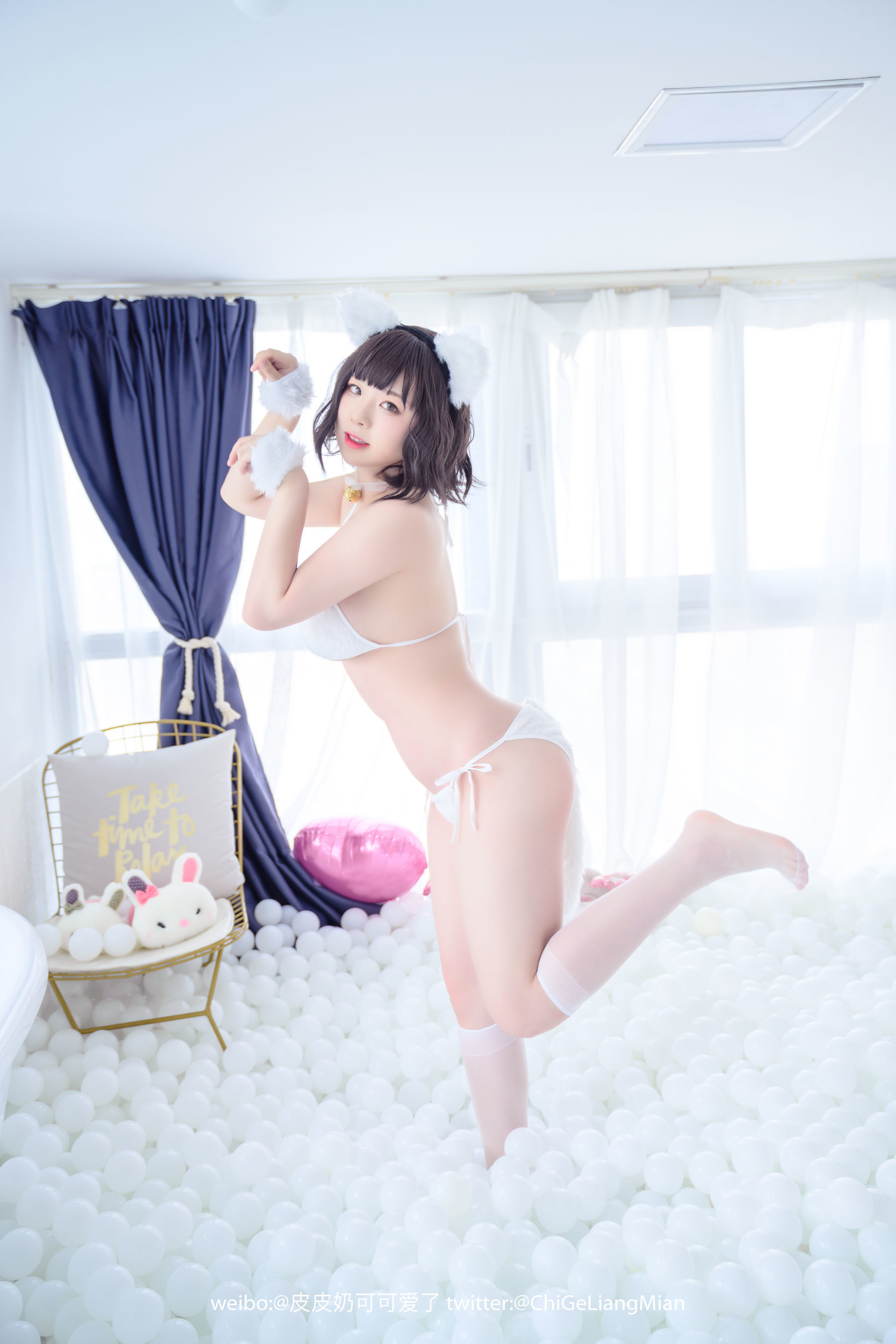 皮皮奶可可爱了啦 白猫 [50P]