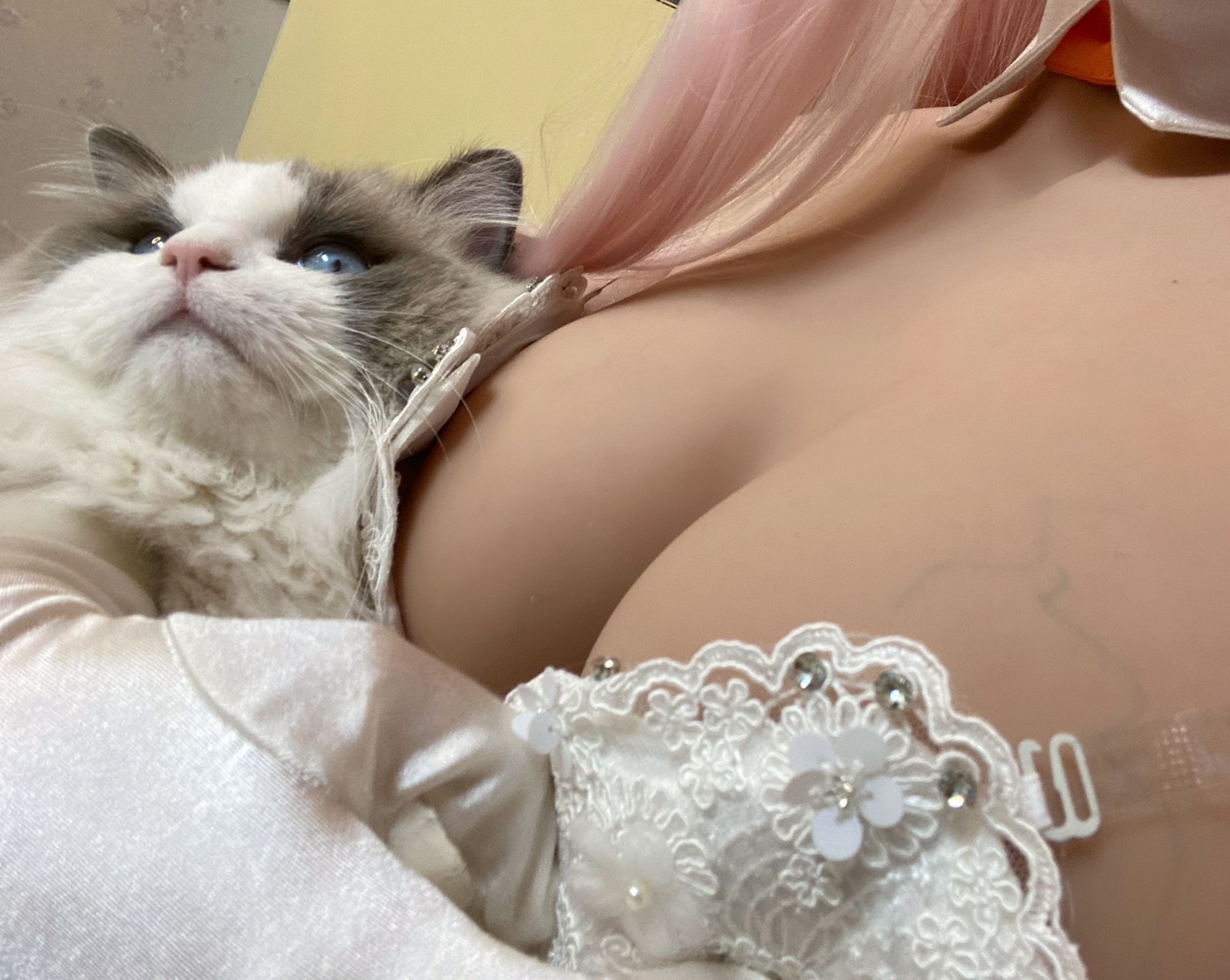 起司块wii – 自拍1 [40P]