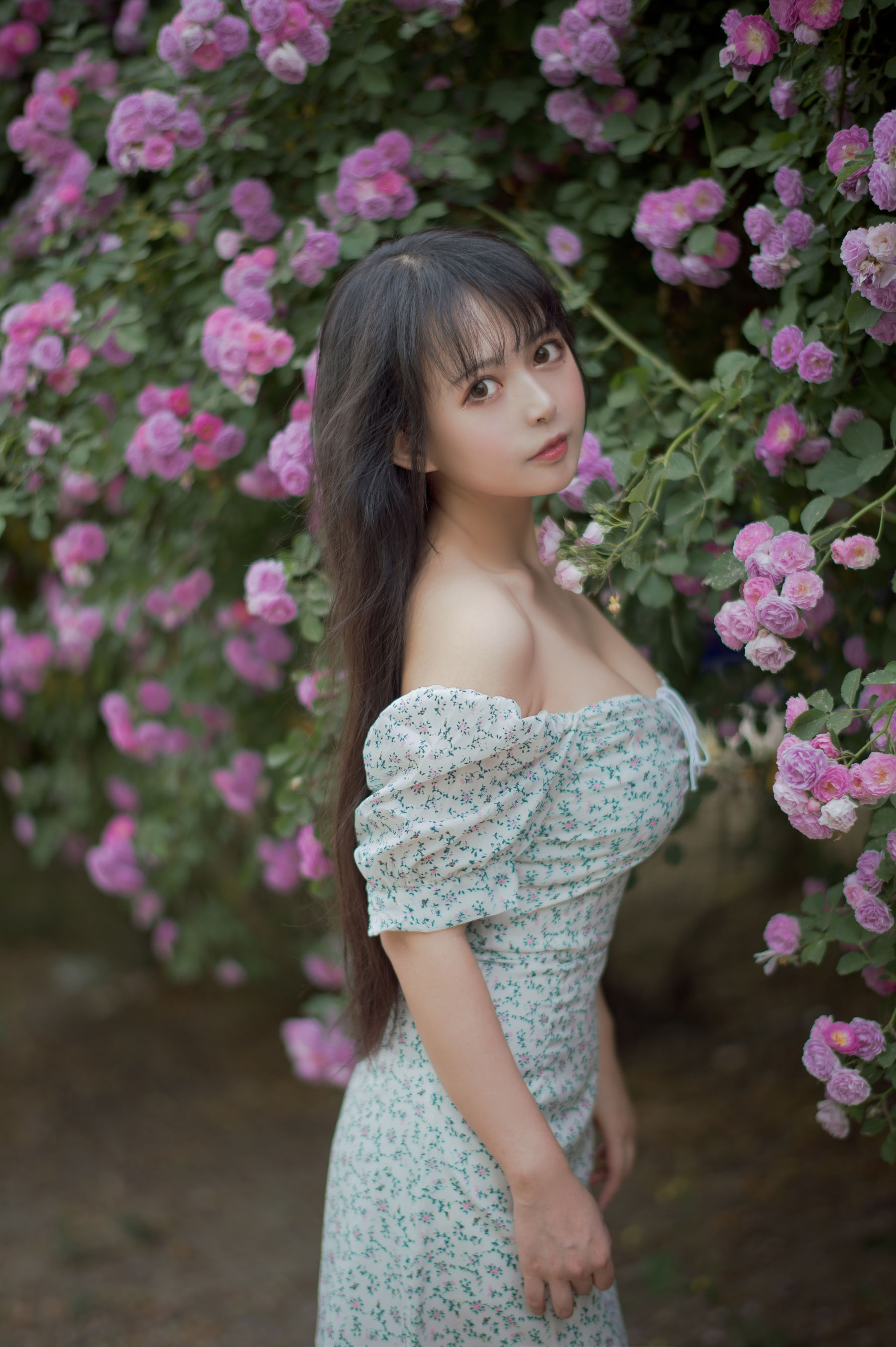 大眼萌妹黑猫猫OvO – 蔷薇2 [27P]