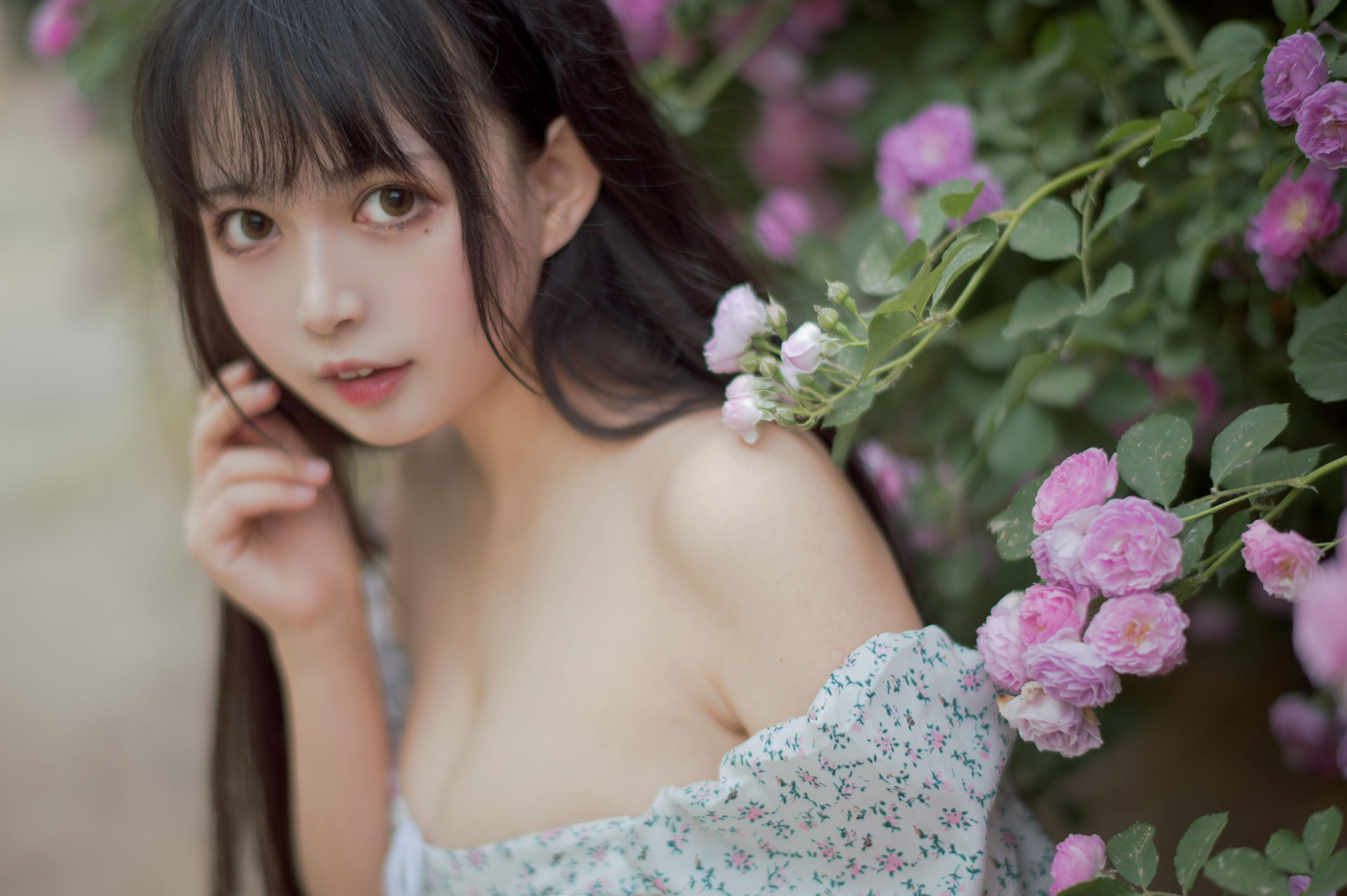 大眼萌妹黑猫猫OvO – 蔷薇2 [27P]