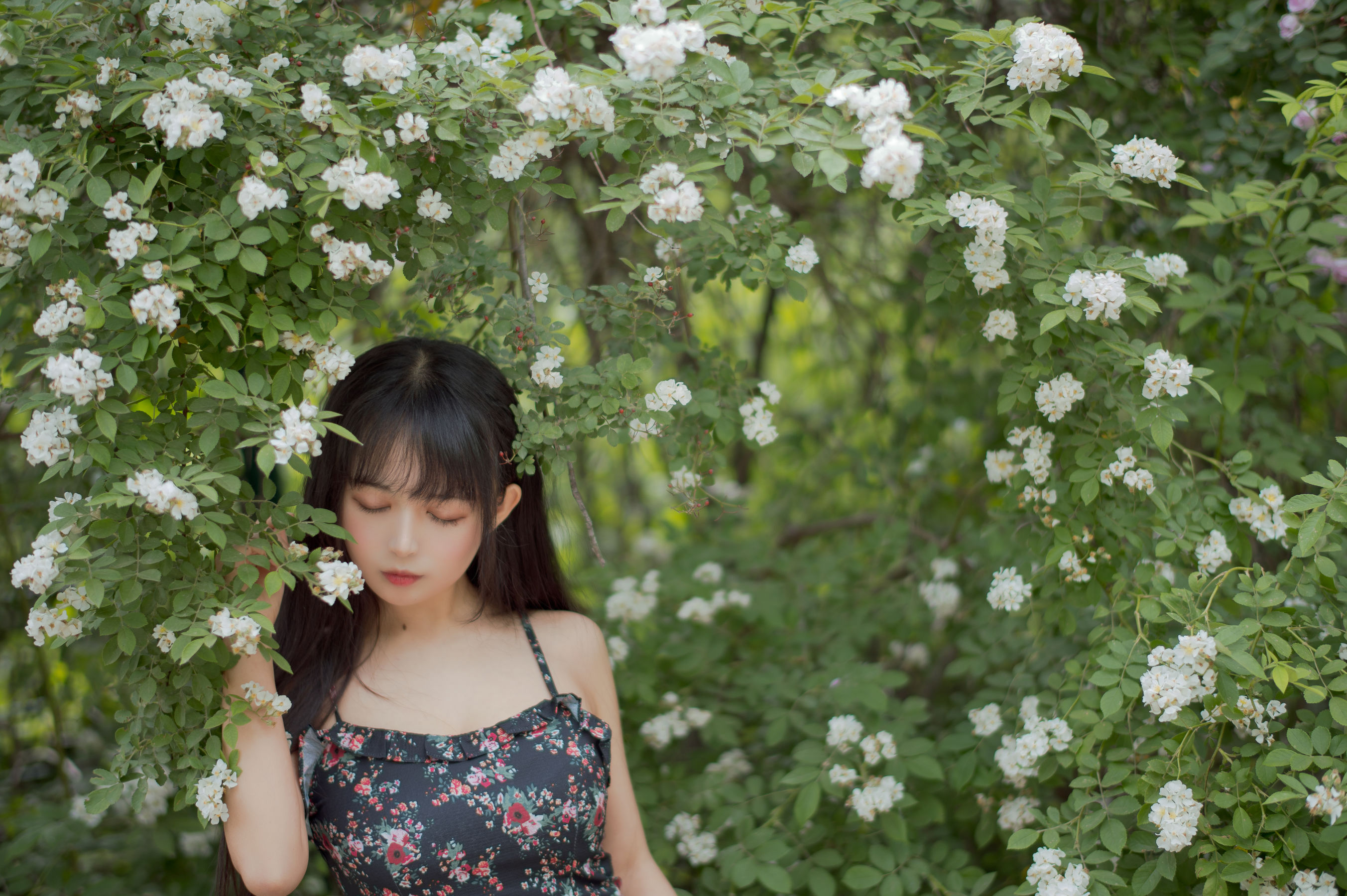 大眼萌妹黑猫猫OvO – 蔷薇1 [22P]