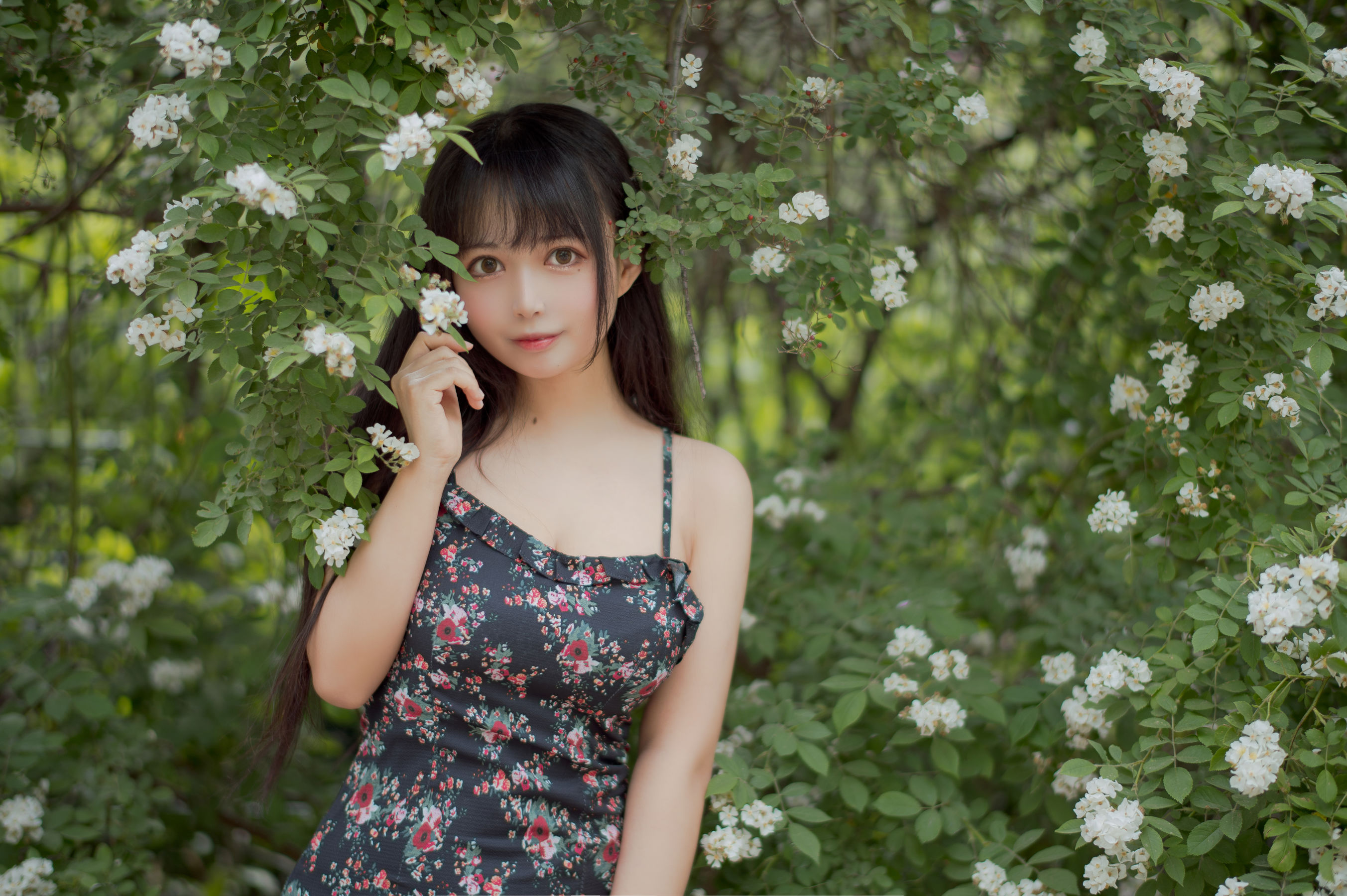 大眼萌妹黑猫猫OvO – 蔷薇1 [22P]