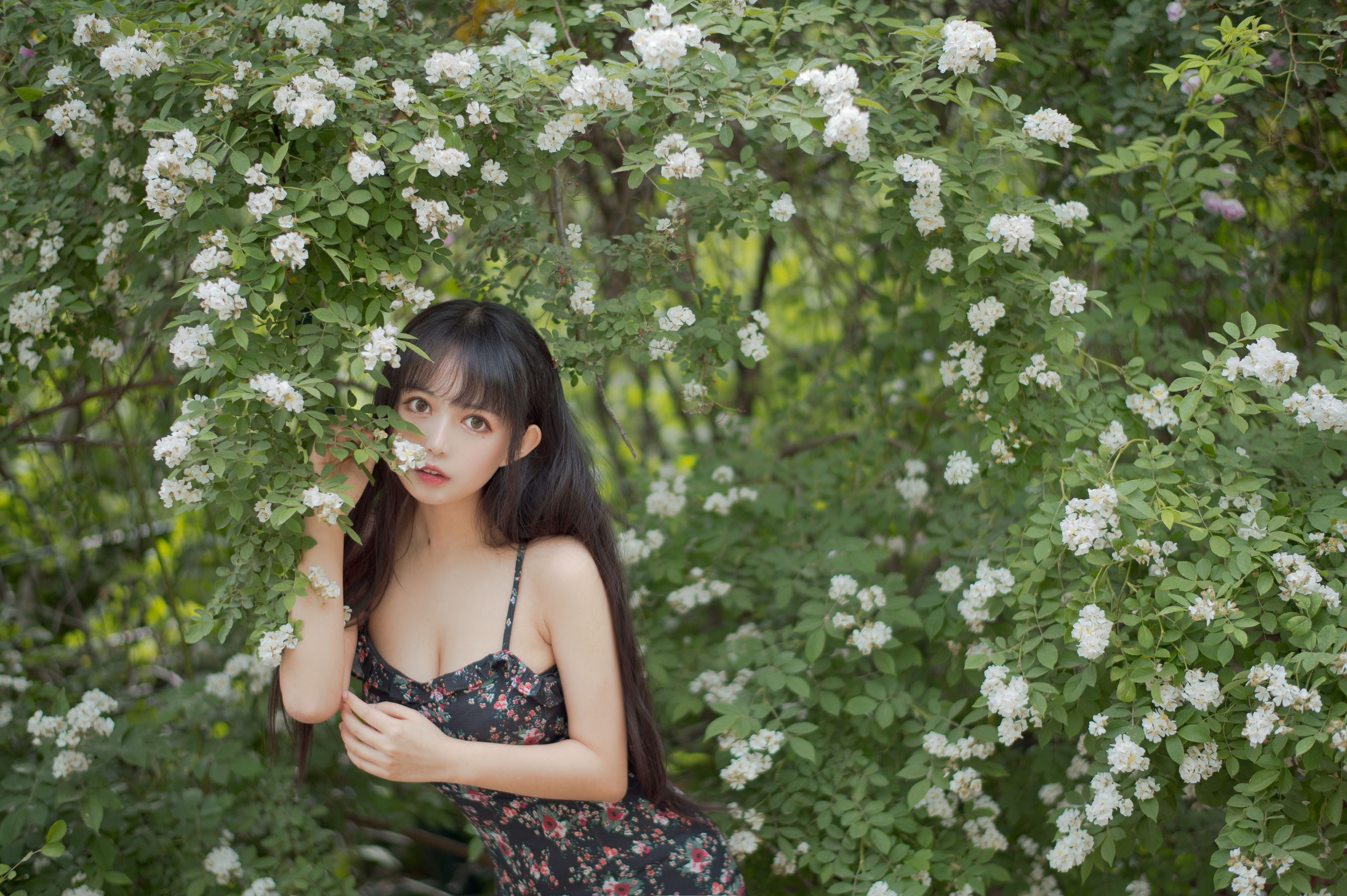 大眼萌妹黑猫猫OvO – 蔷薇1 [22P]