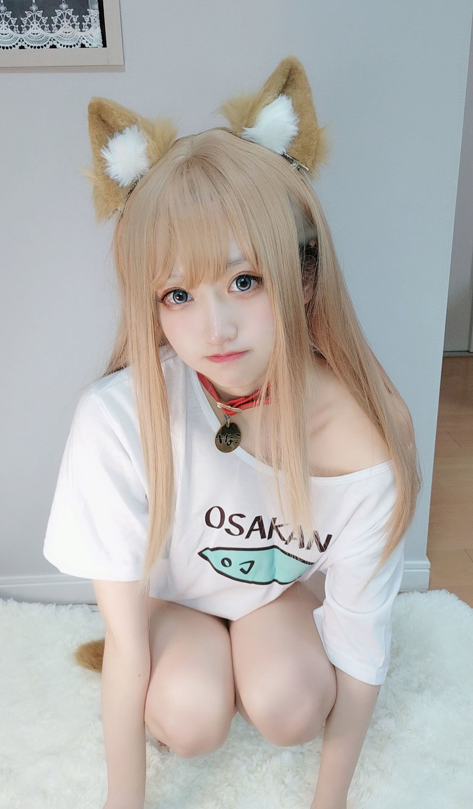 千阳(ちよ) – 40原设猫猫 [13P]