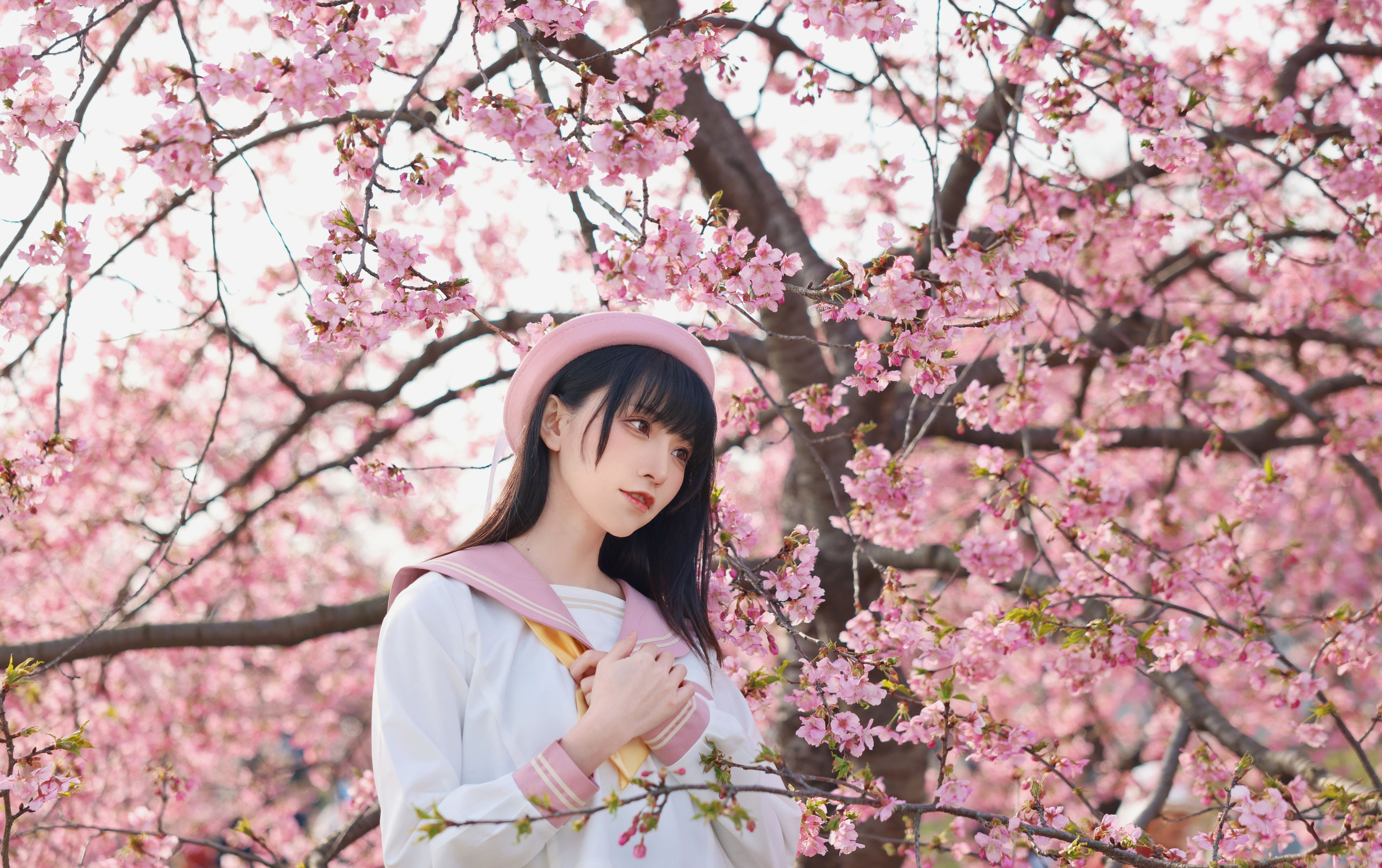 动漫博主Kitaro_绮太郎 – 樱花 [18P]