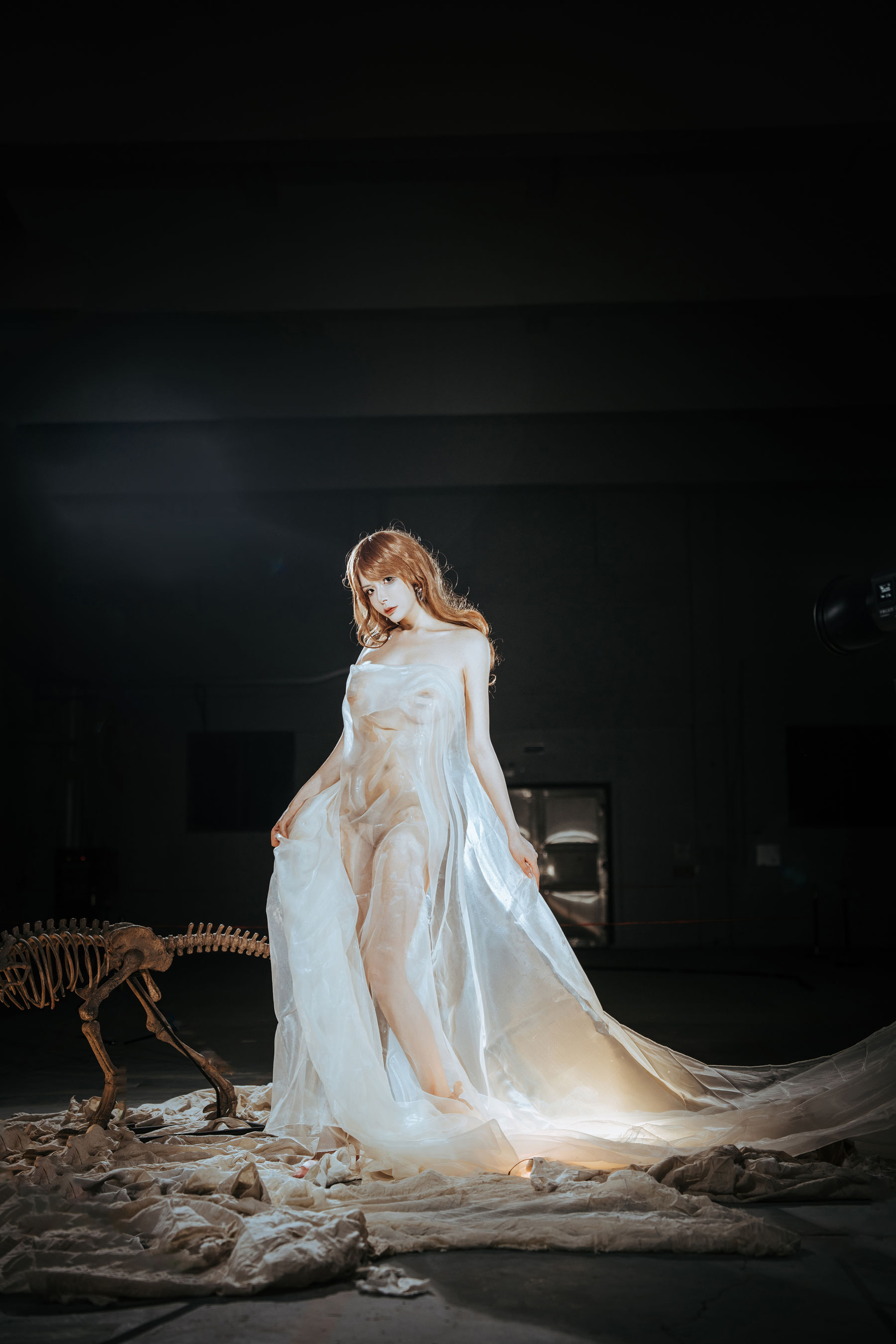 秋和柯基(夏小秋秋秋) – 纱 [66P]