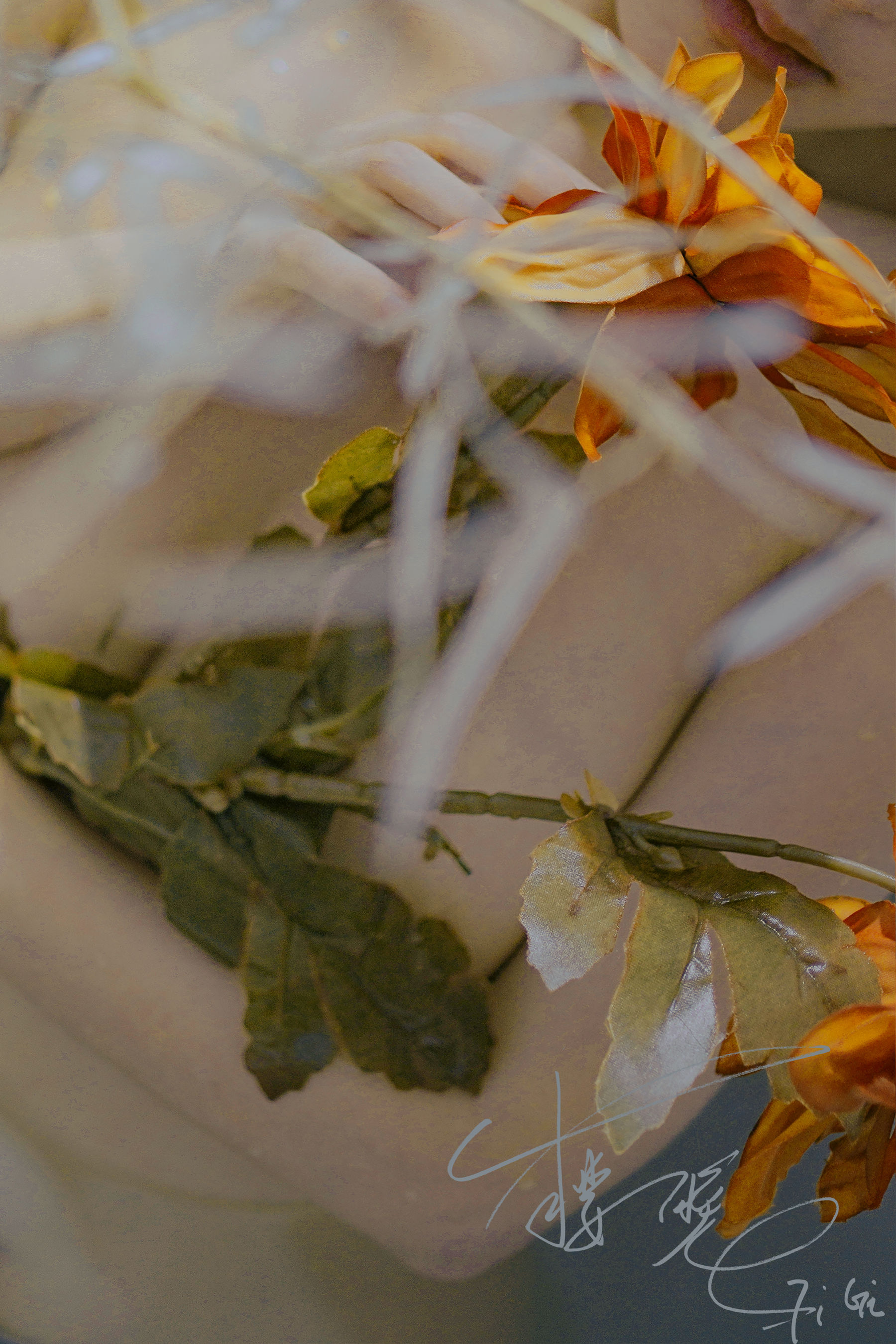 网络红人樱晚gigi – 清衣.池 [25P]