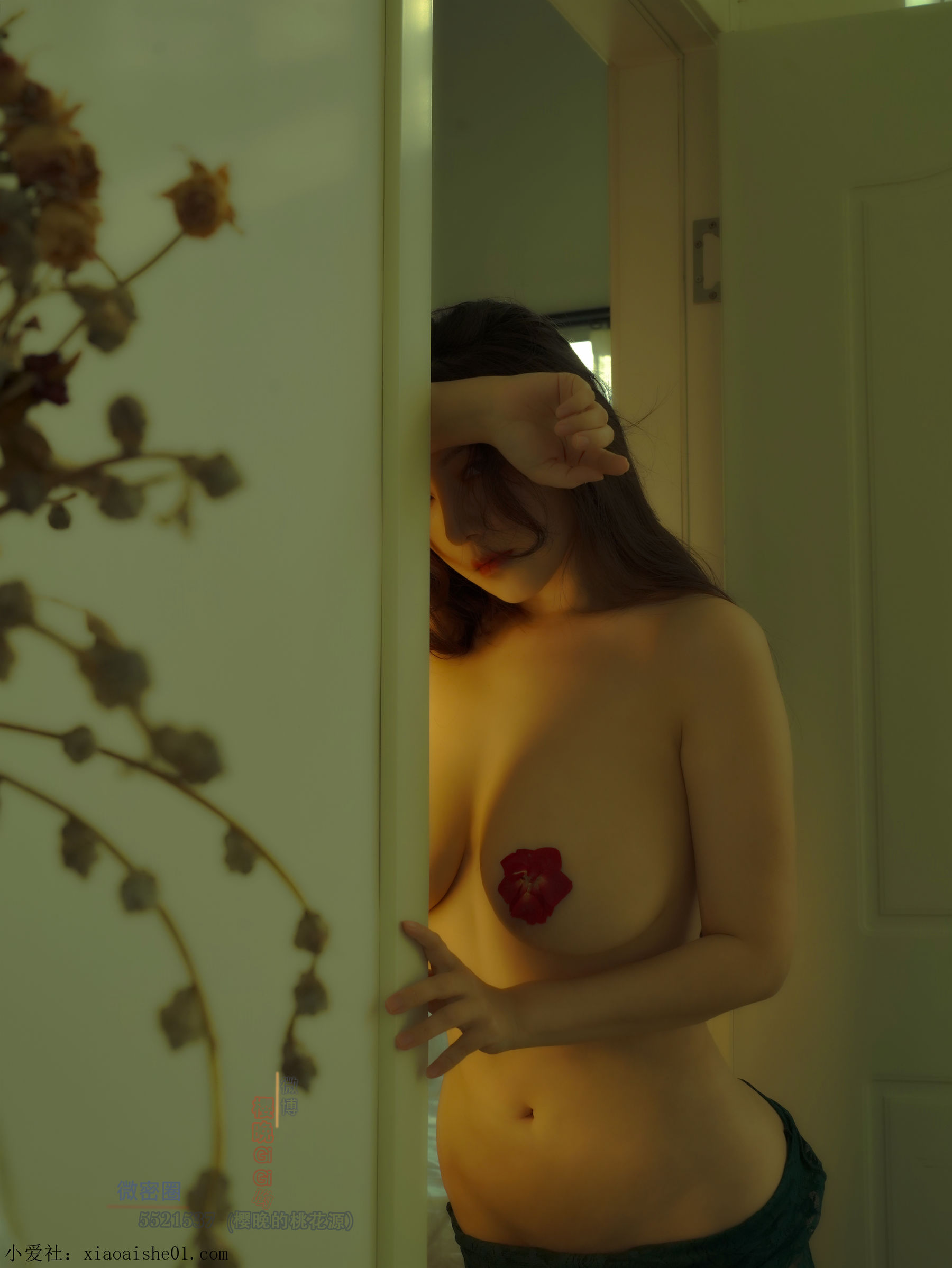 网络红人樱晚gigi – 翡瑟 [21P]