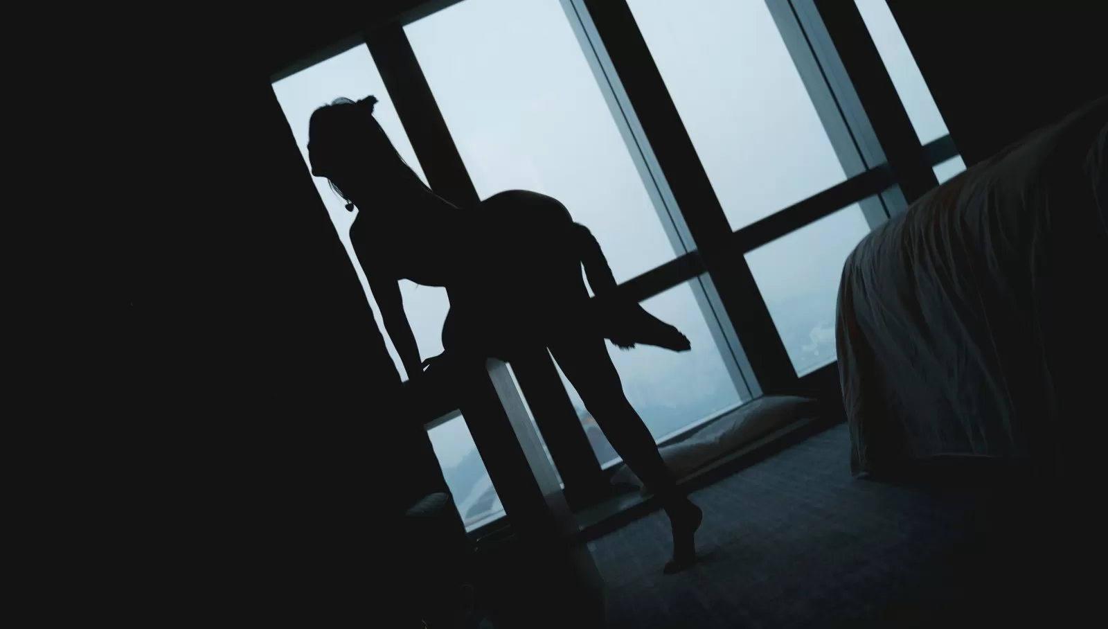 就是阿朱啊 – 猫 [85P]