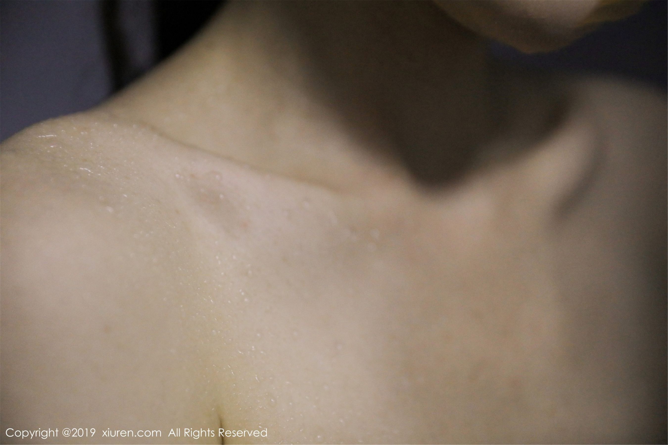 XiuRen 秀人网 No.1449 沈梦瑶