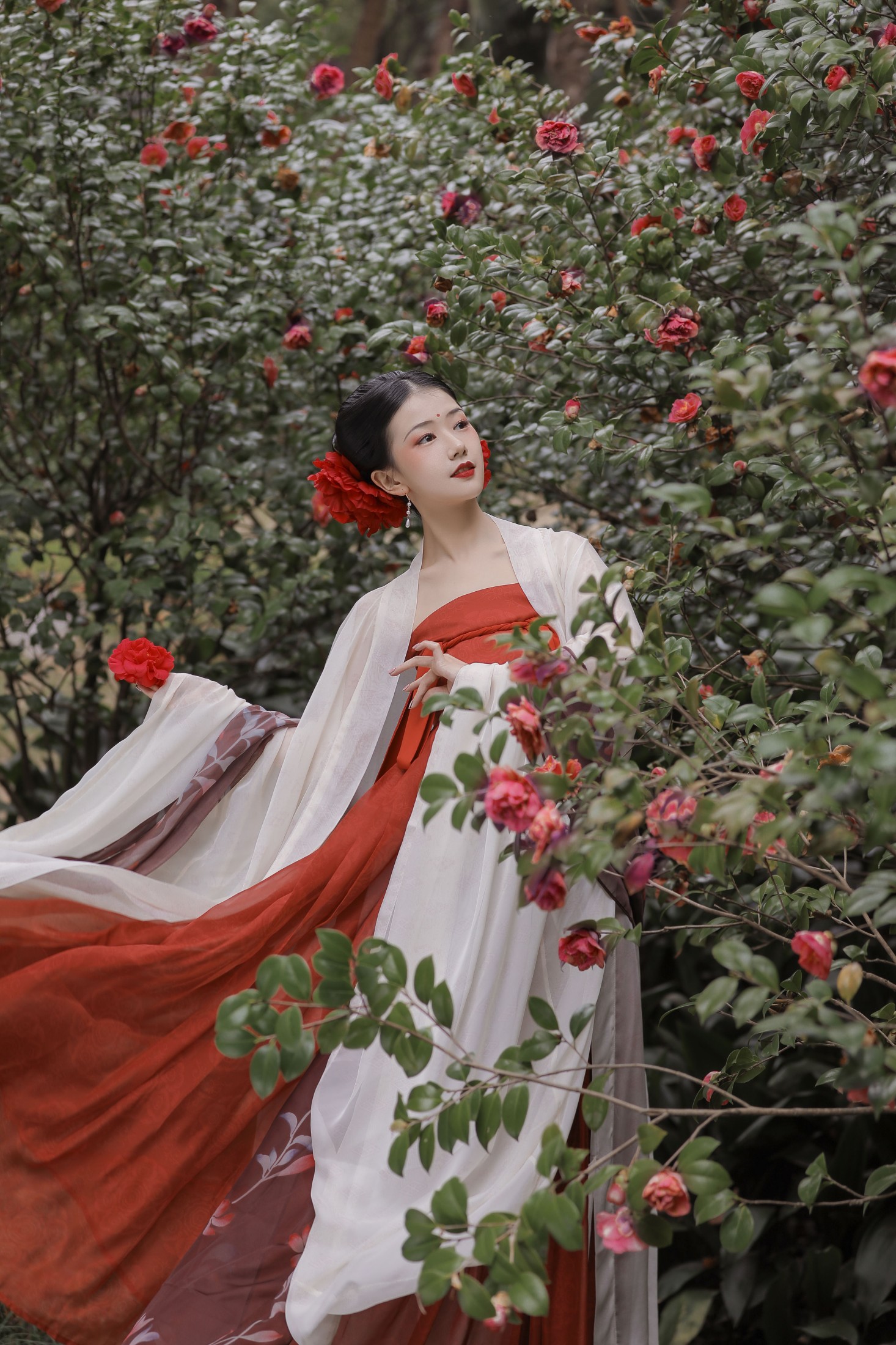 酸辣湯兒 – 《见山茶》[22P]