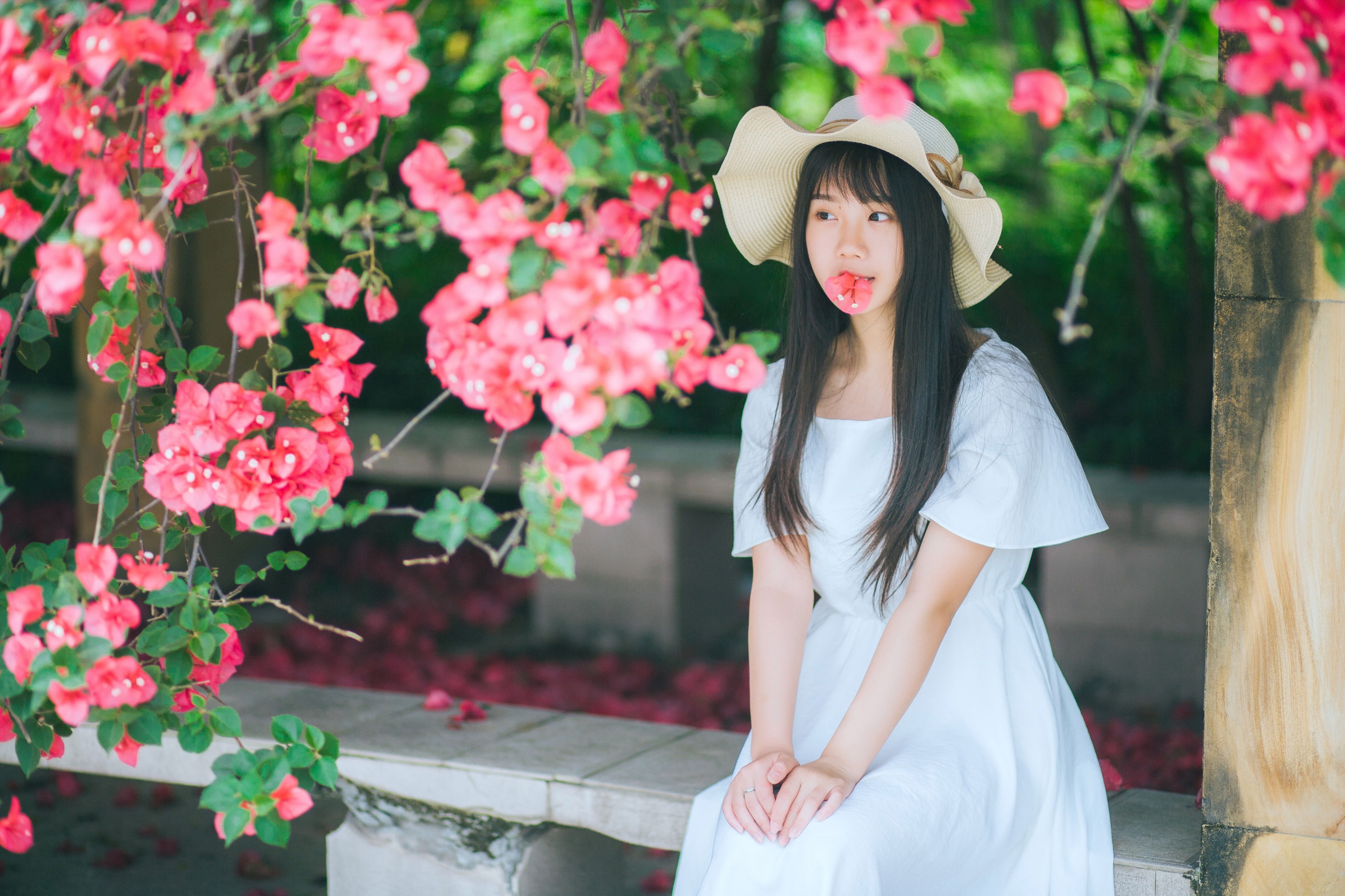 紫卿 – 《花和那姑娘》[23P]