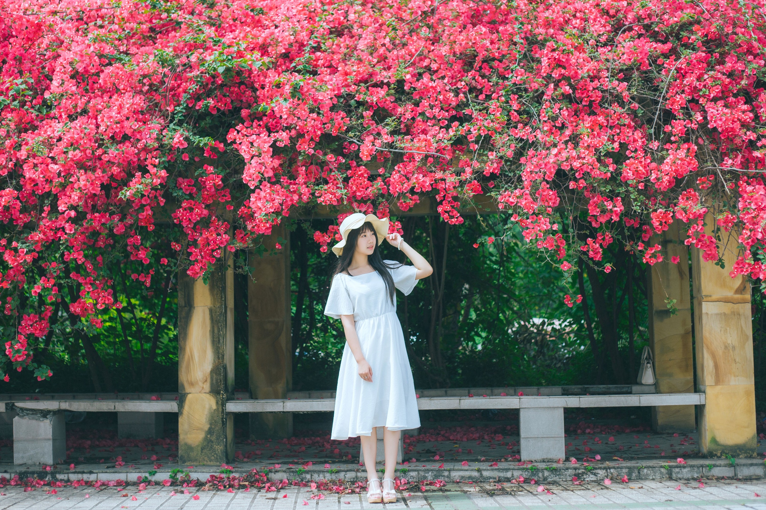 紫卿 – 《花和那姑娘》[23P]