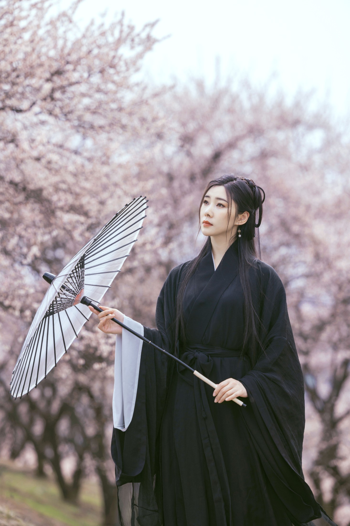 木哥 – 《樱花》[41P]