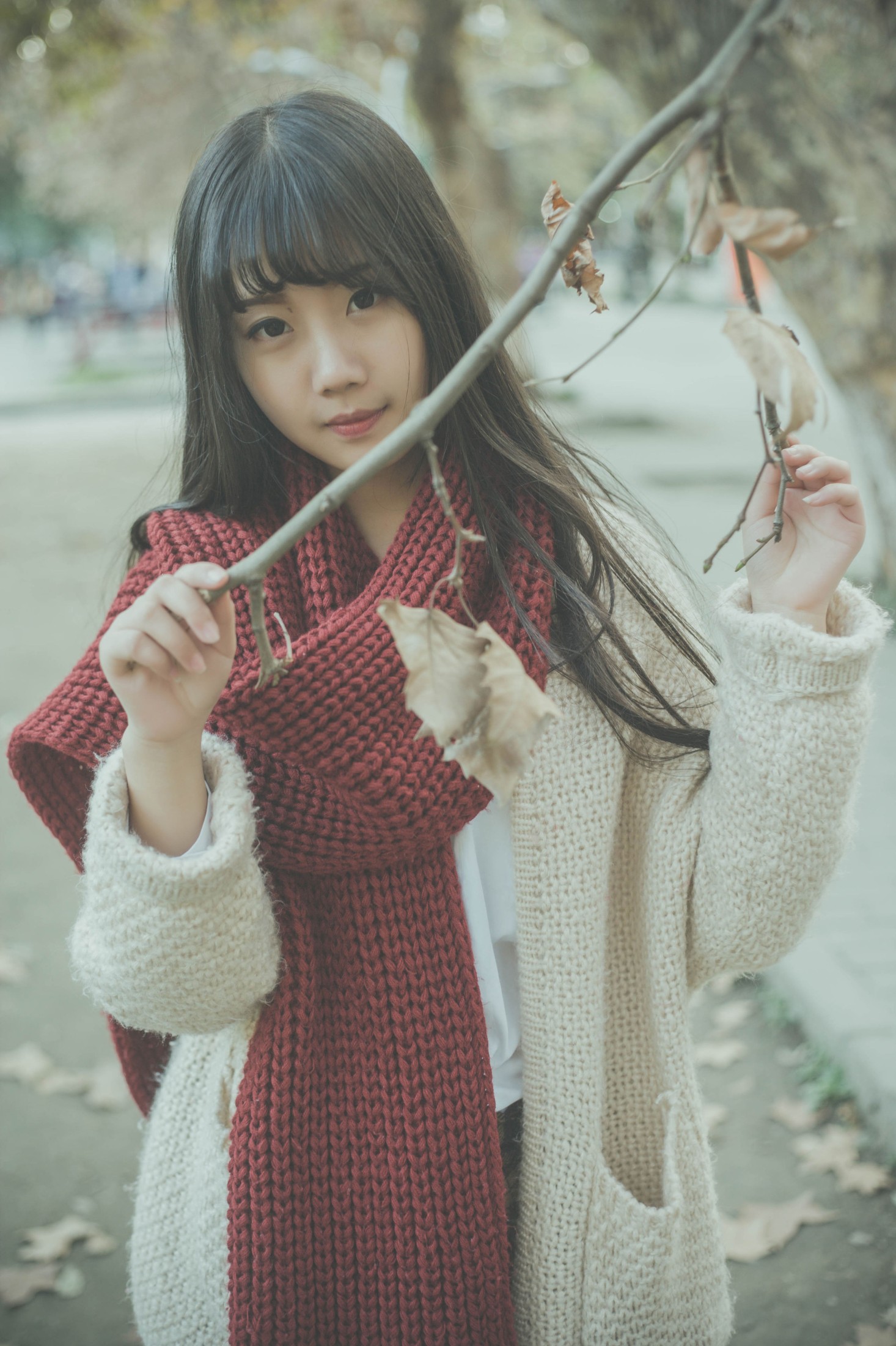 紫卿 – 《南国的冬》[26P]