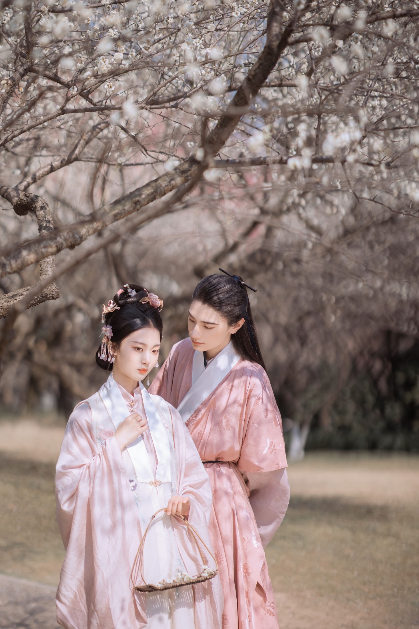 汀贰 九卿ikame – 《折梅赠君》[39P] 插图3