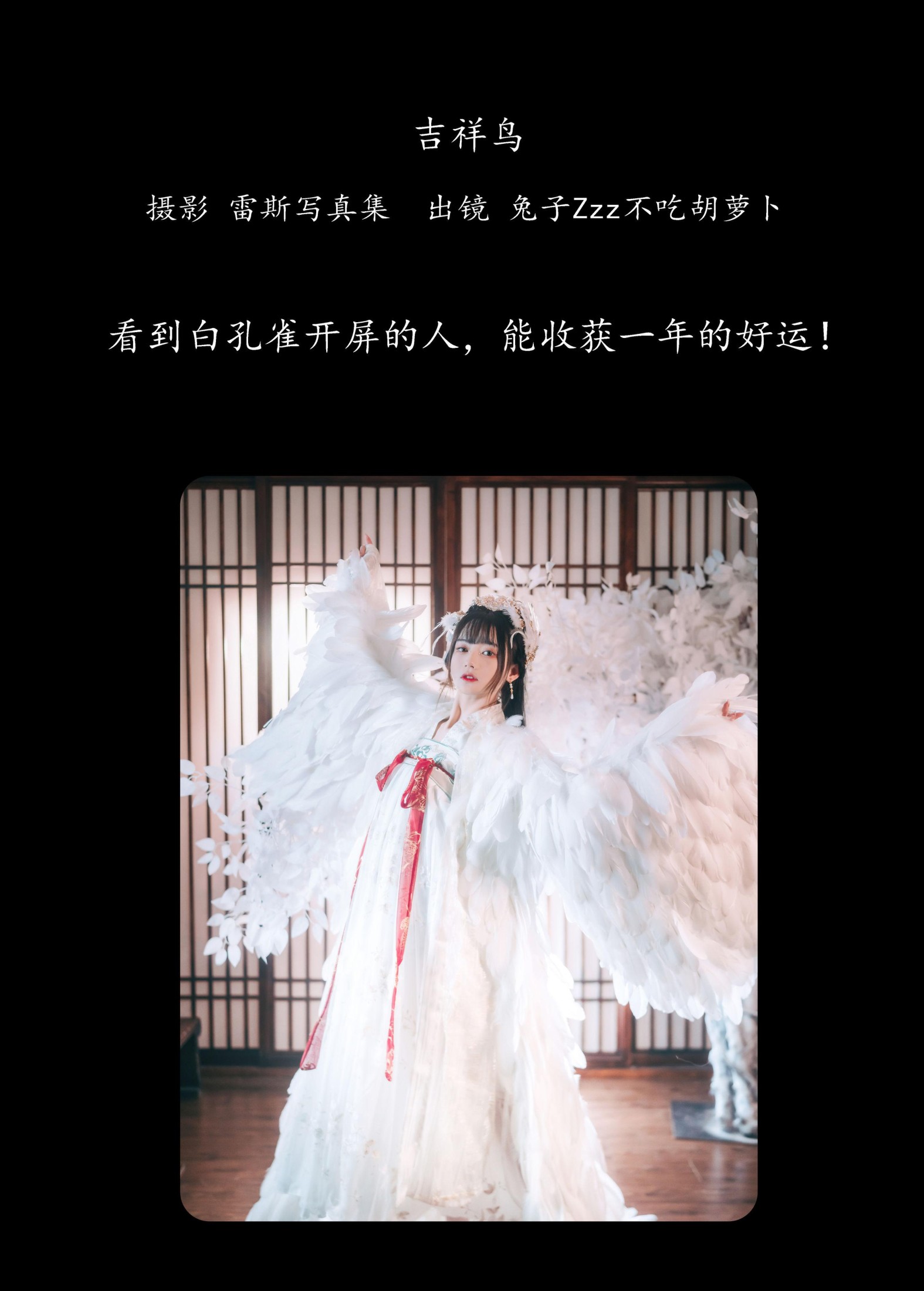 兔子Zzz不吃胡萝卜 – 《吉祥鸟》[22P]