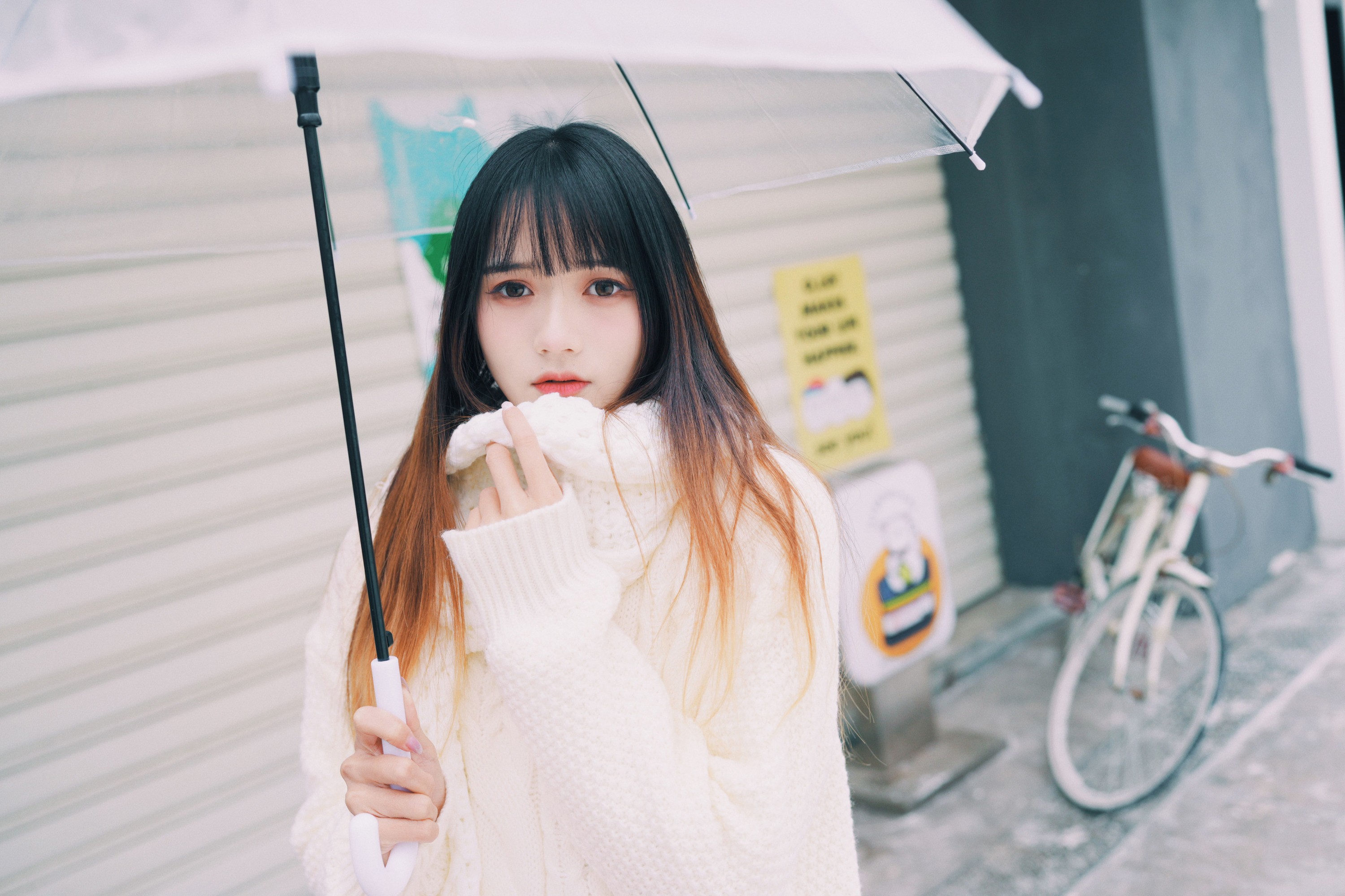 兔子Zzz不吃胡萝卜 – 《在雪中等待》[35P]