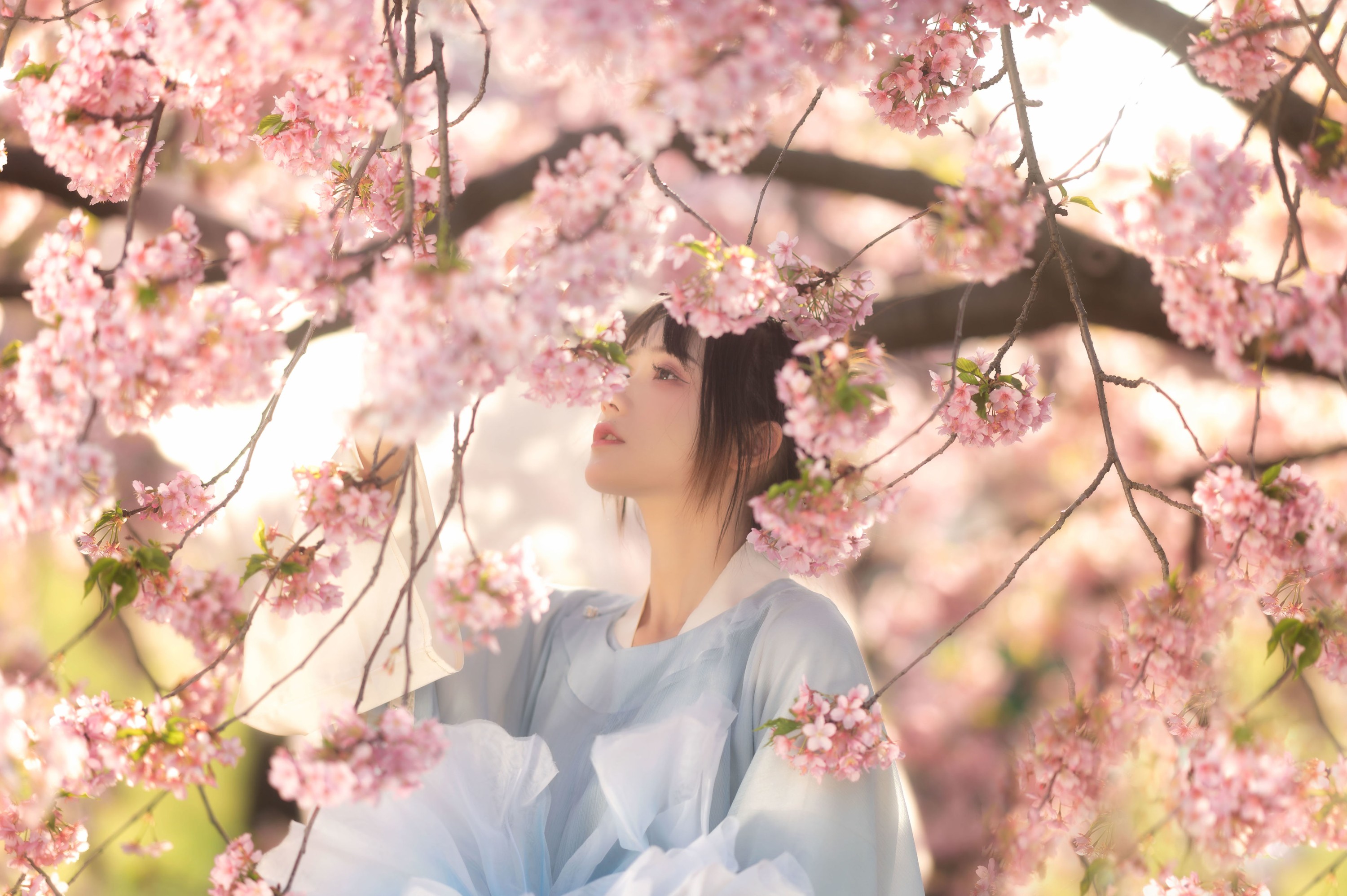 兔子Zzz不吃胡萝卜 – 《花满衣》[30P]