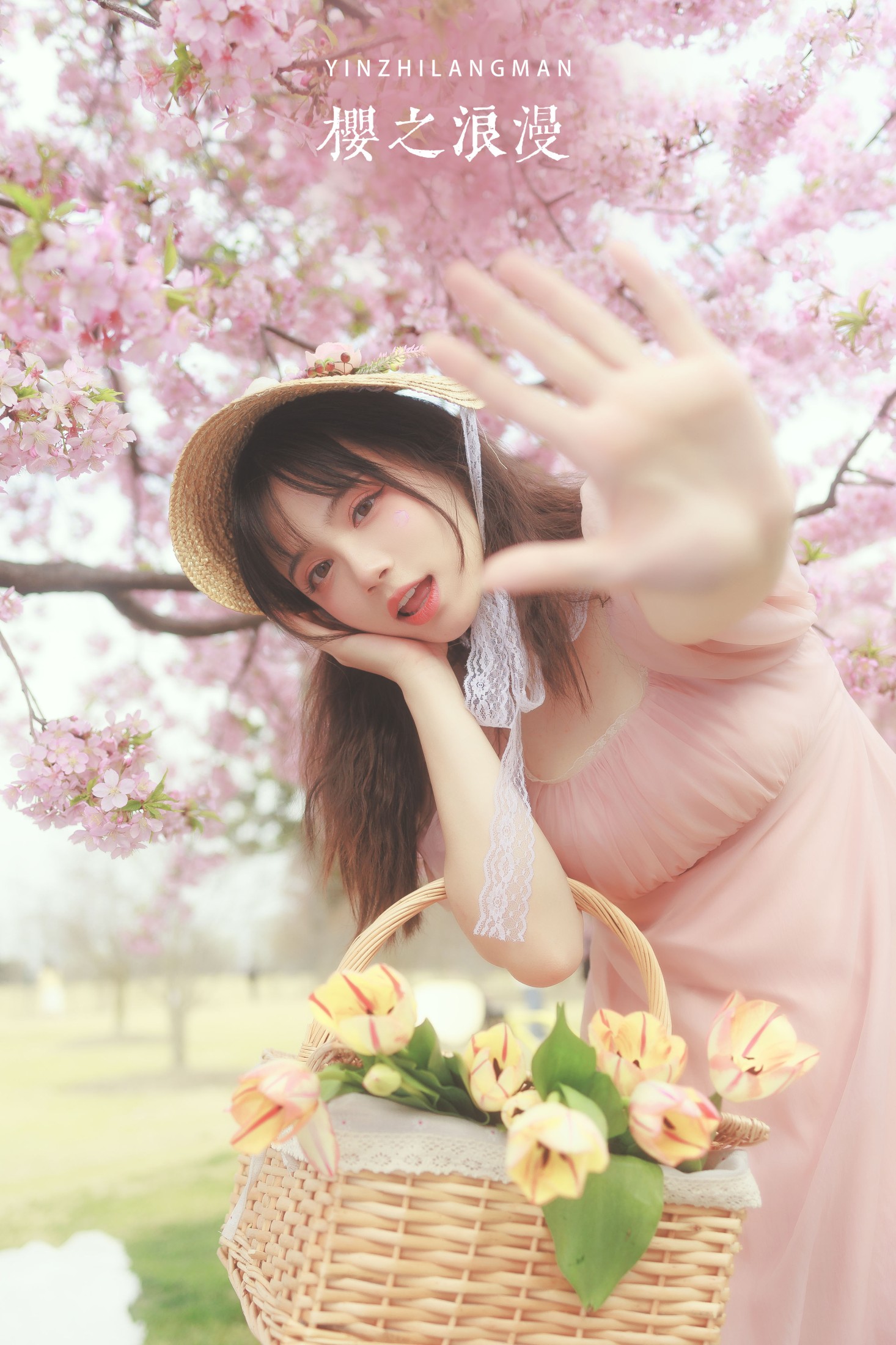 贰加六 – 《樱之浪漫》[24P]