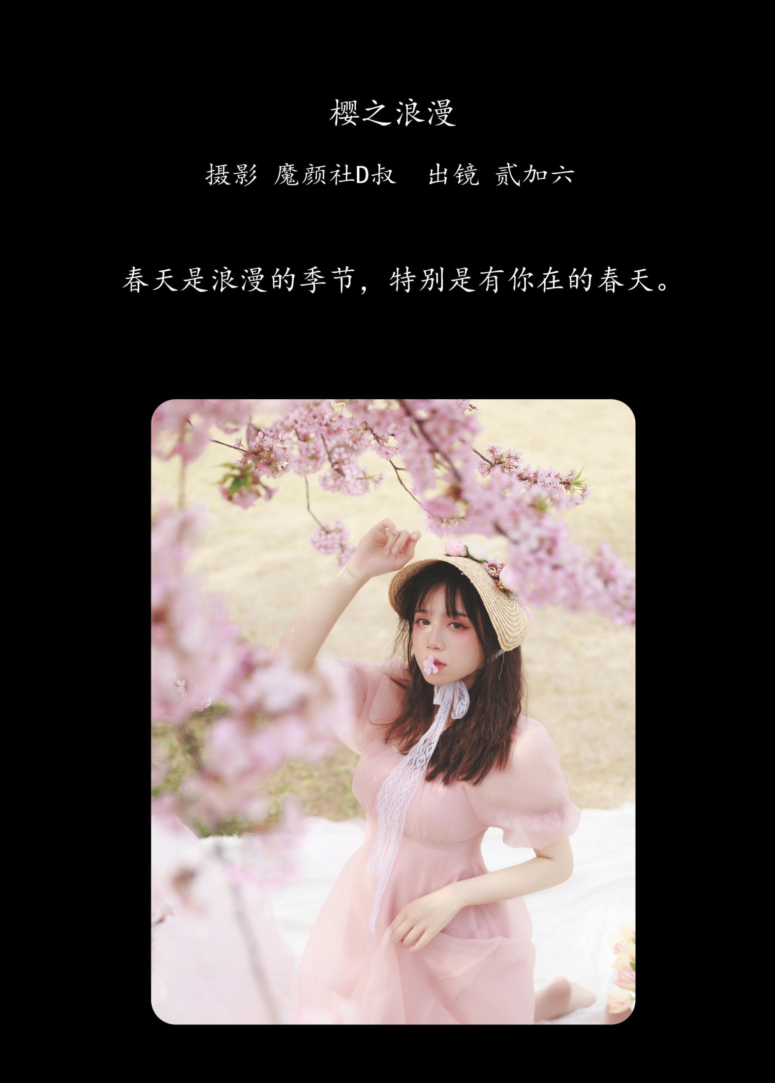 贰加六 – 《樱之浪漫》[24P]