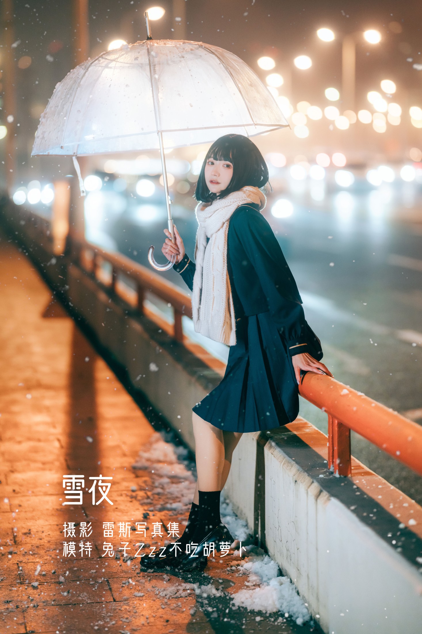 兔子Zzz不吃胡萝卜 – 《雪夜》[23P]