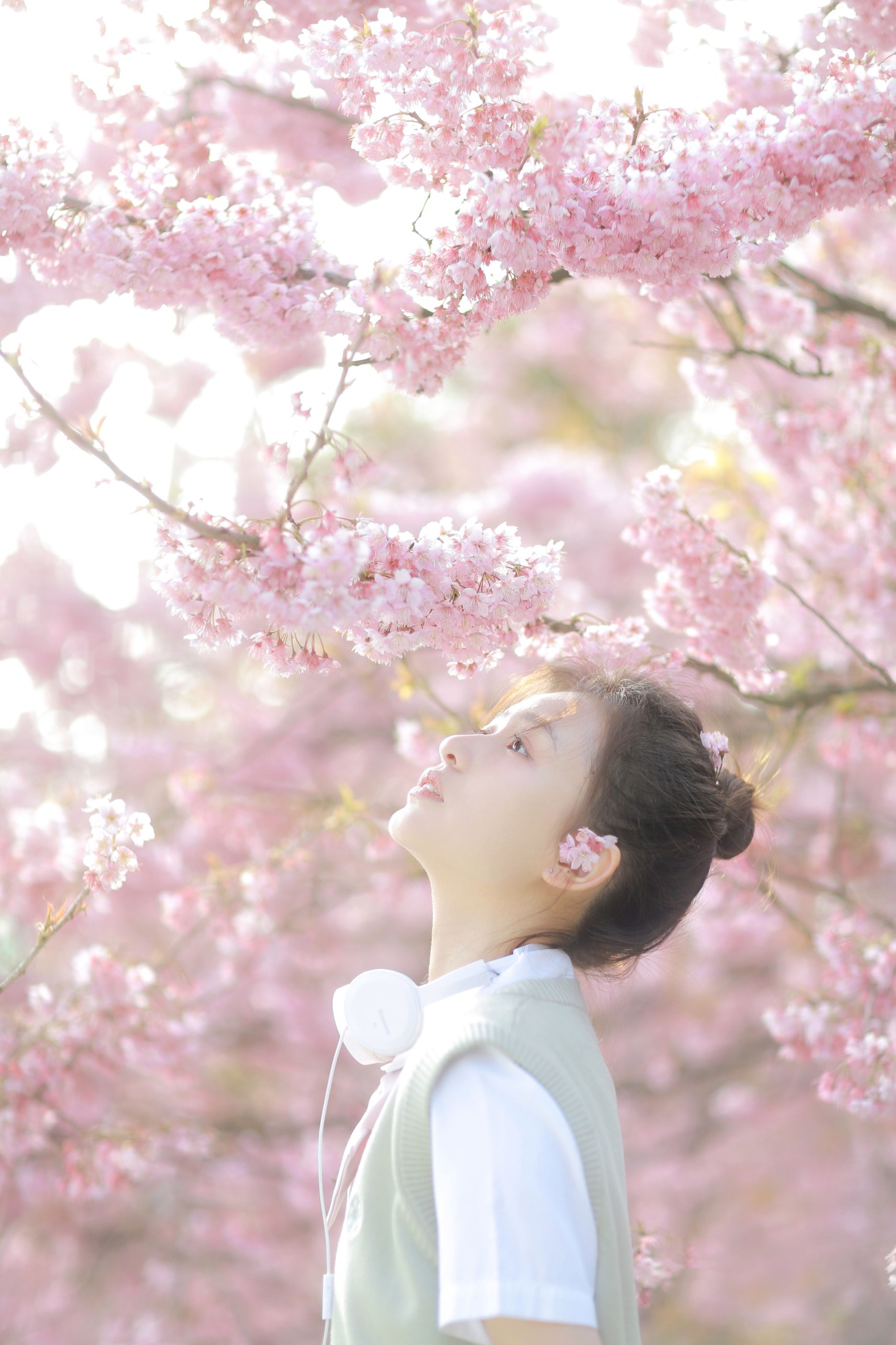 瑞秋的快乐人生 – 《樱花下的春日心动》[23P] 插图3