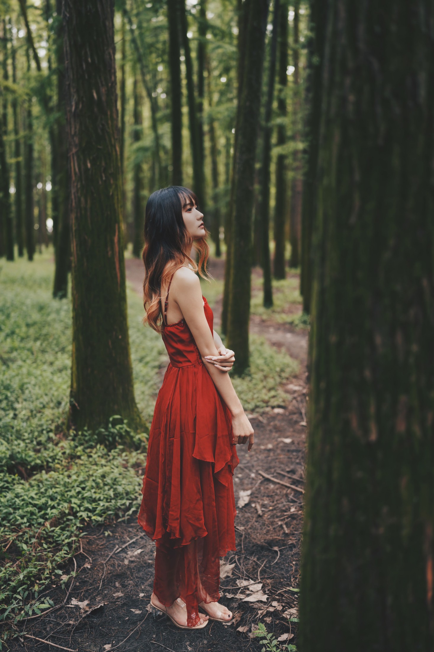 兔子Zzz不吃胡萝卜 – 《闯入迷雾森林》[26P]