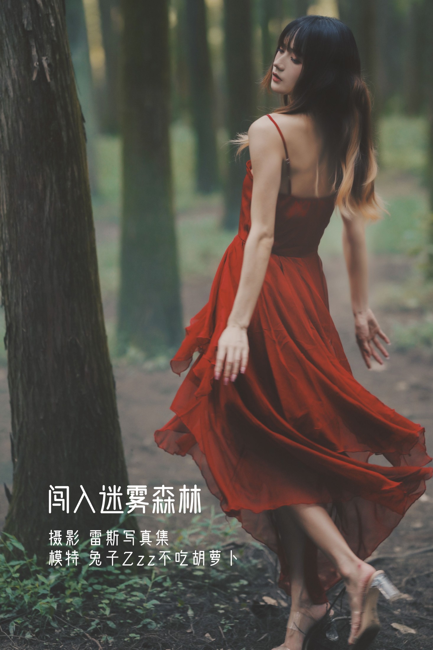 兔子Zzz不吃胡萝卜 – 《闯入迷雾森林》[26P]