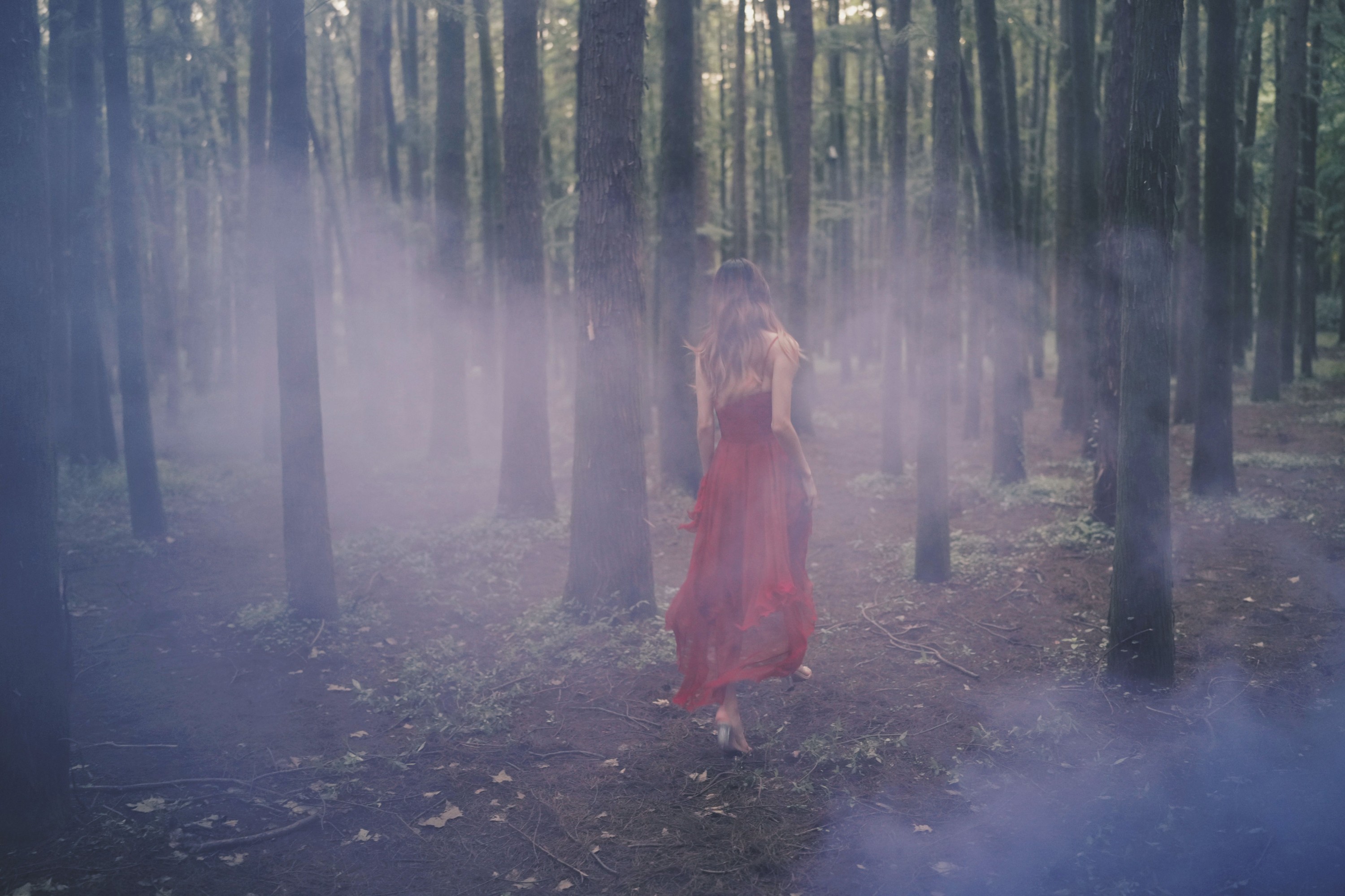 兔子Zzz不吃胡萝卜 – 《闯入迷雾森林》[26P]