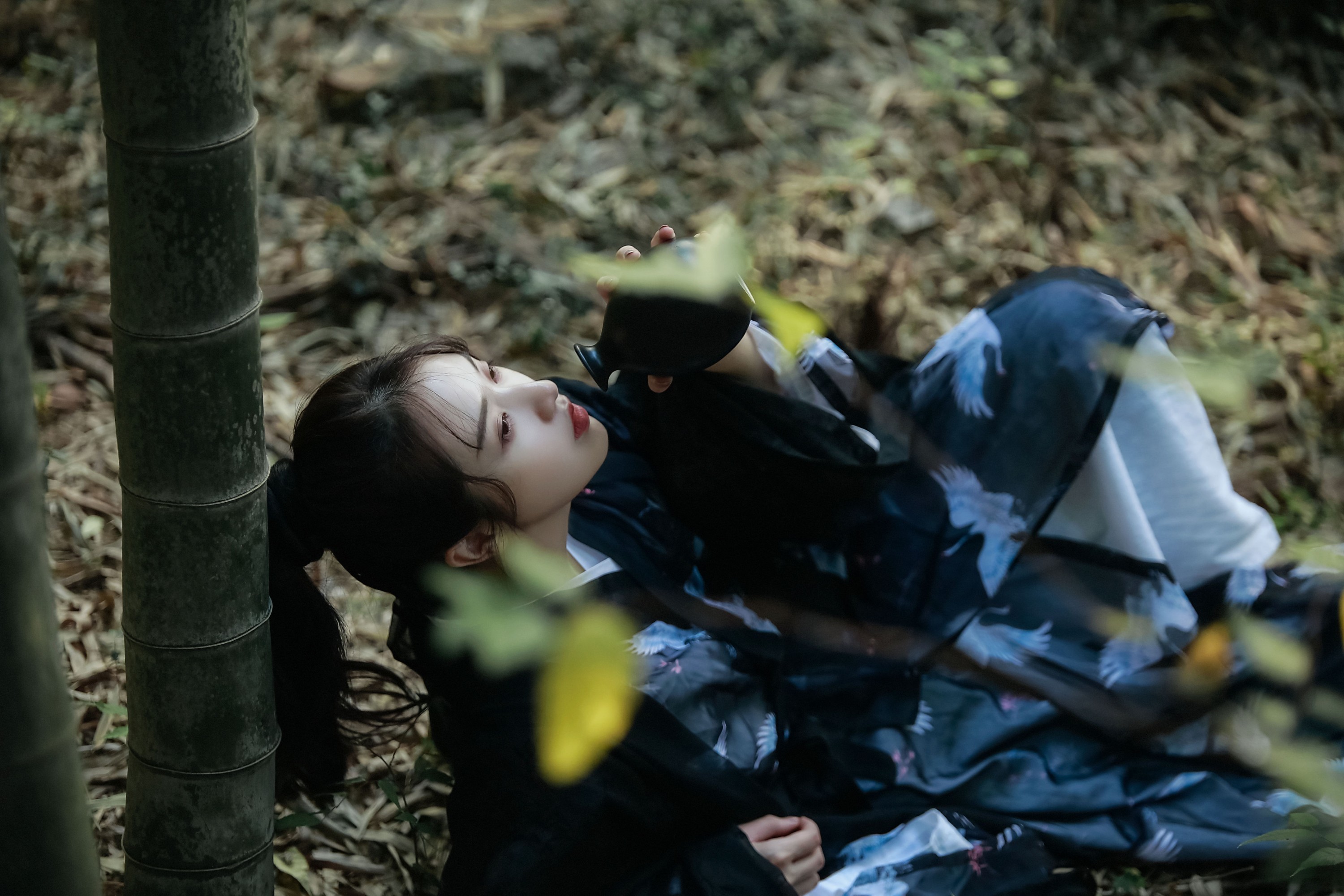 苏苏 – 《逍遥游》[22P]