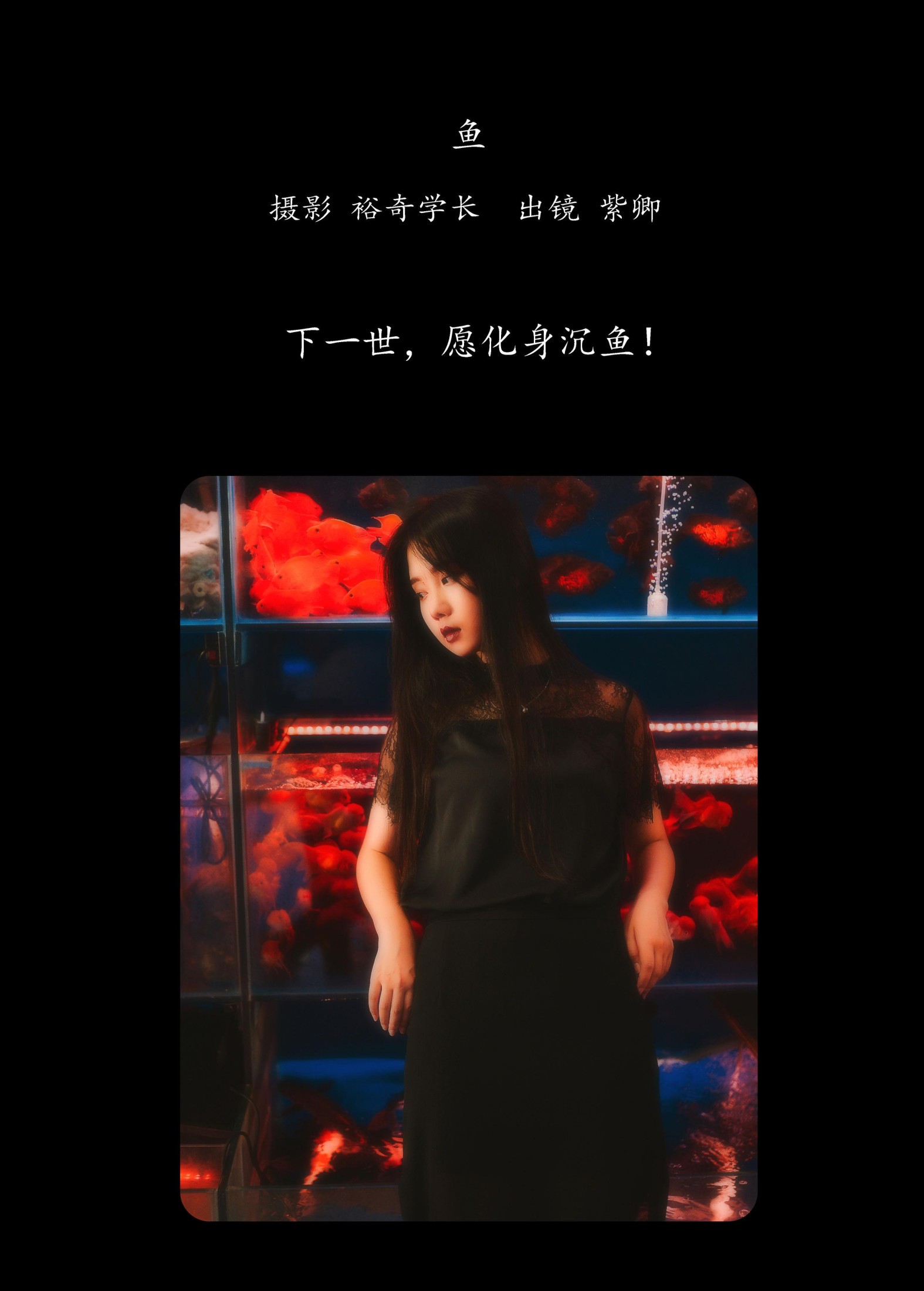紫卿 – 《鱼》[21P]