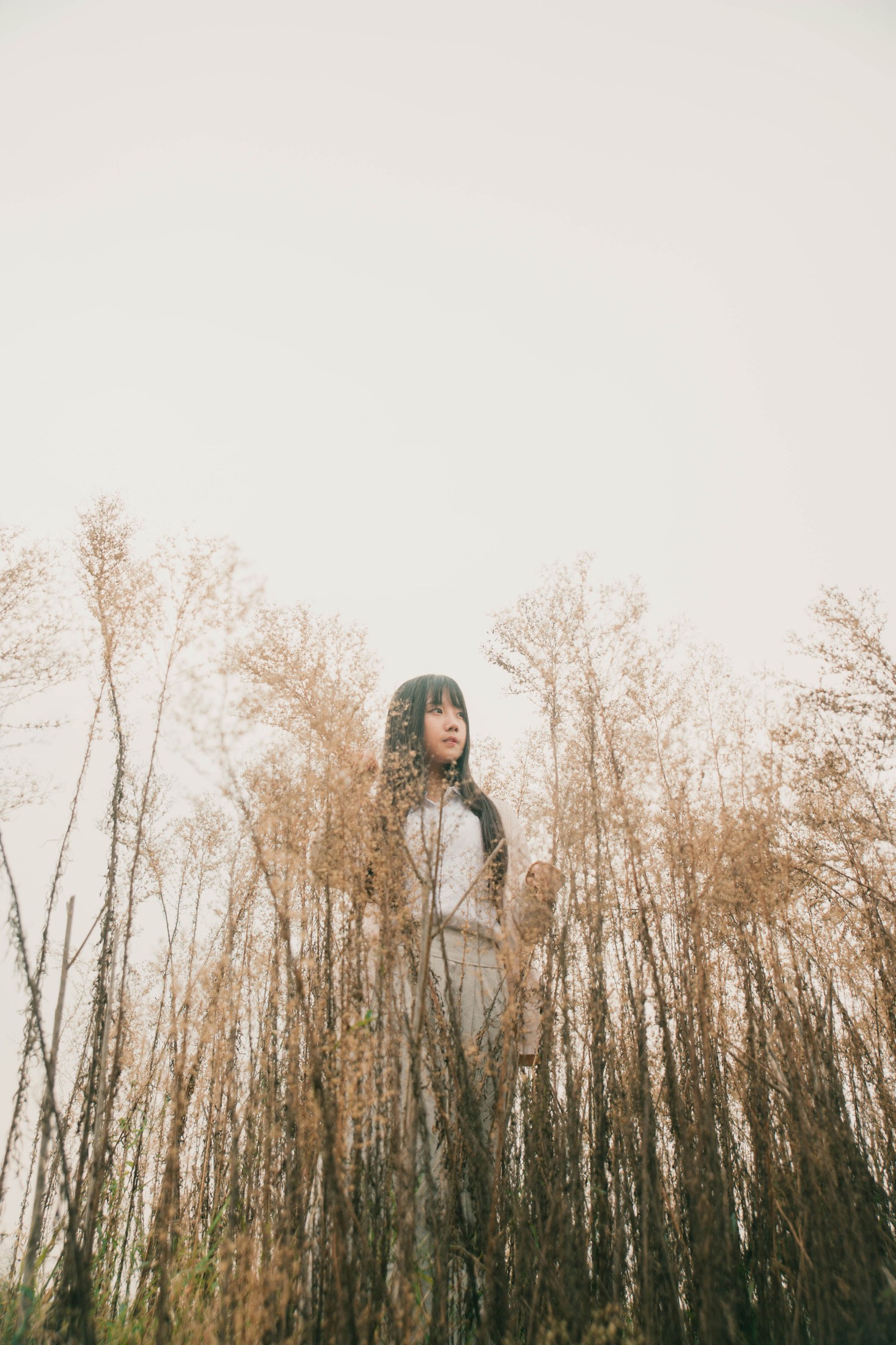 紫卿 – 《秋实》[21P]