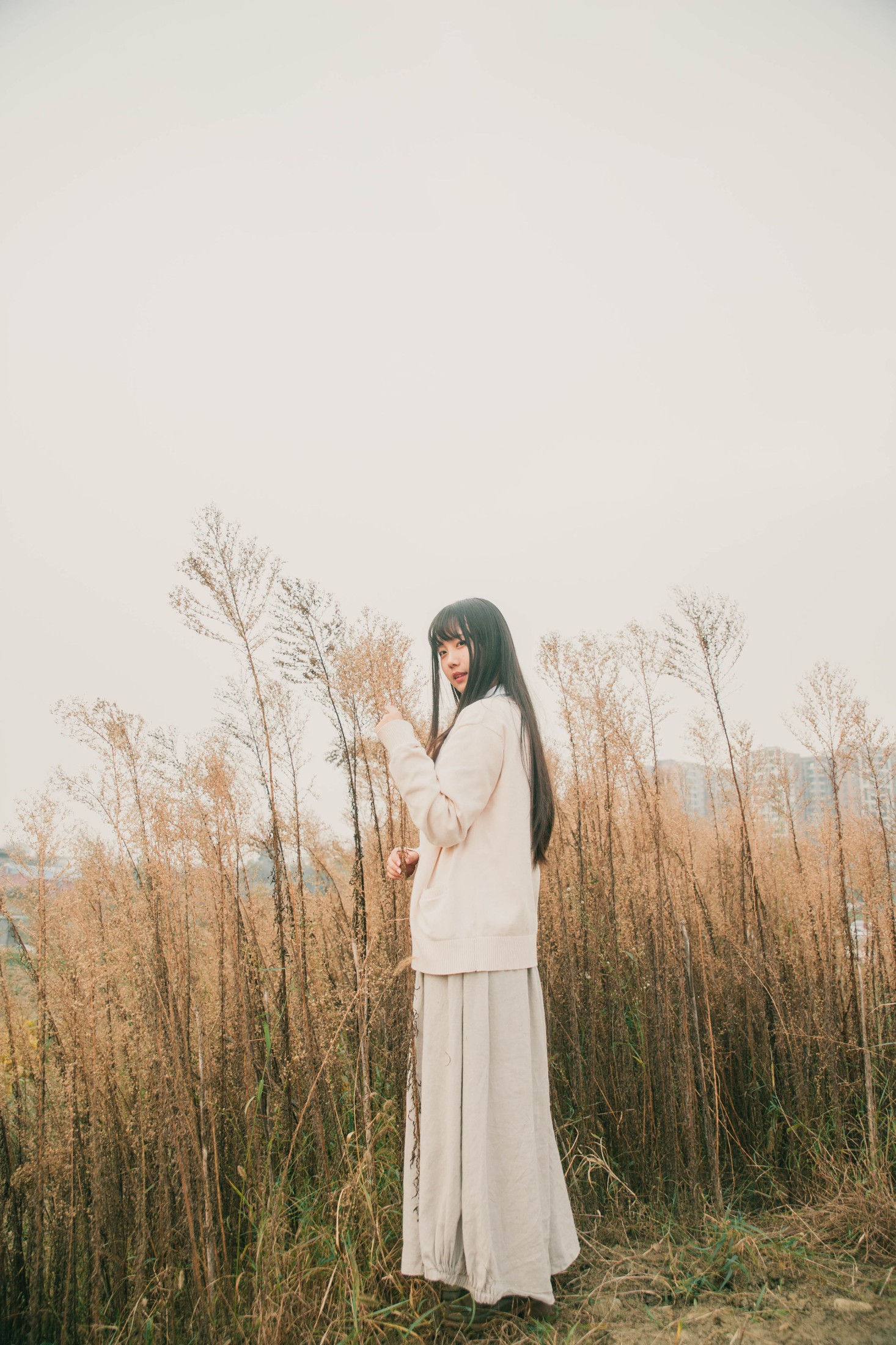 紫卿 – 《秋实》[21P]