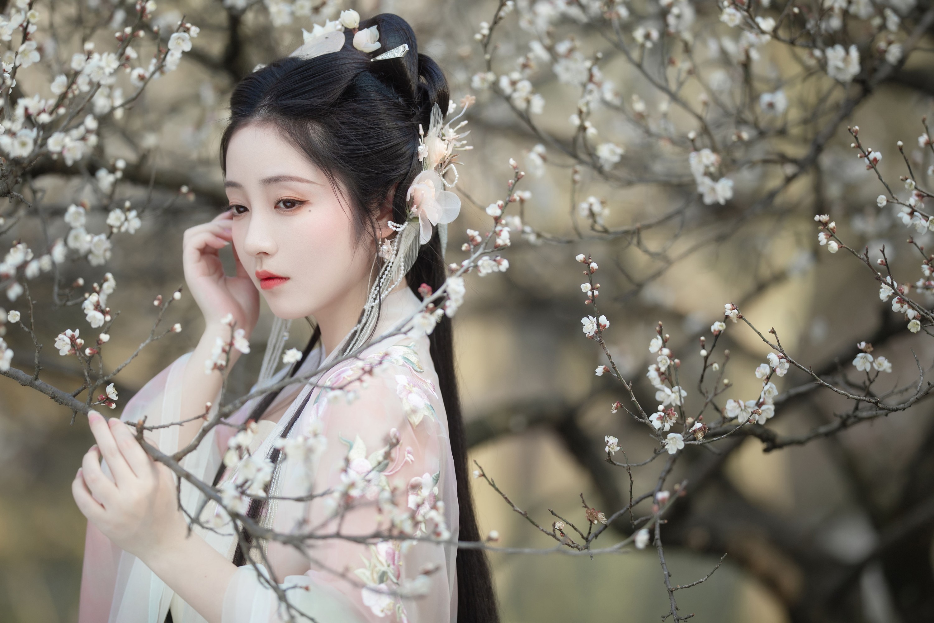 小温暖想要个大太阳  – 《暗香》[22P]