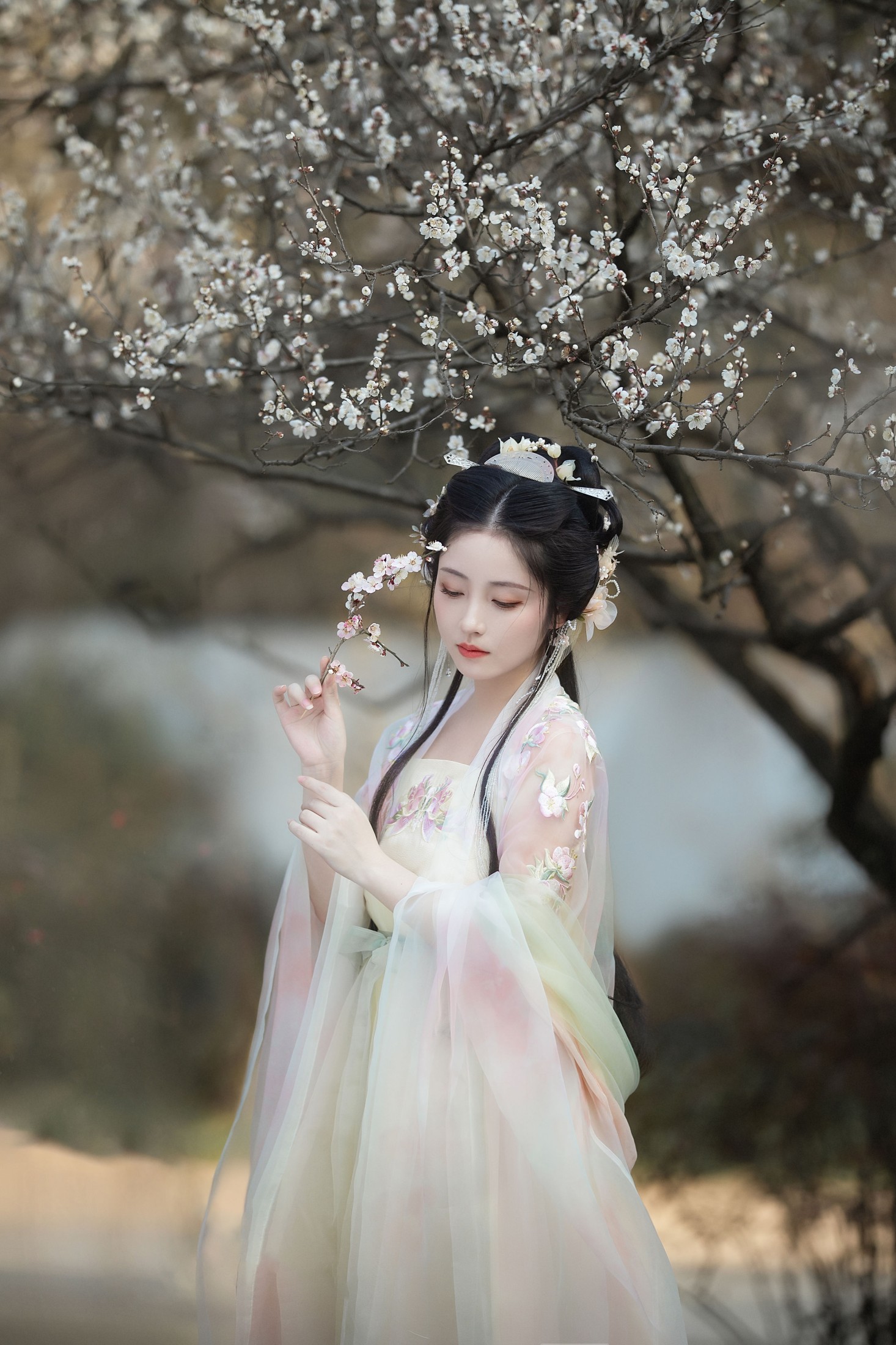 小温暖想要个大太阳  – 《暗香》[22P]