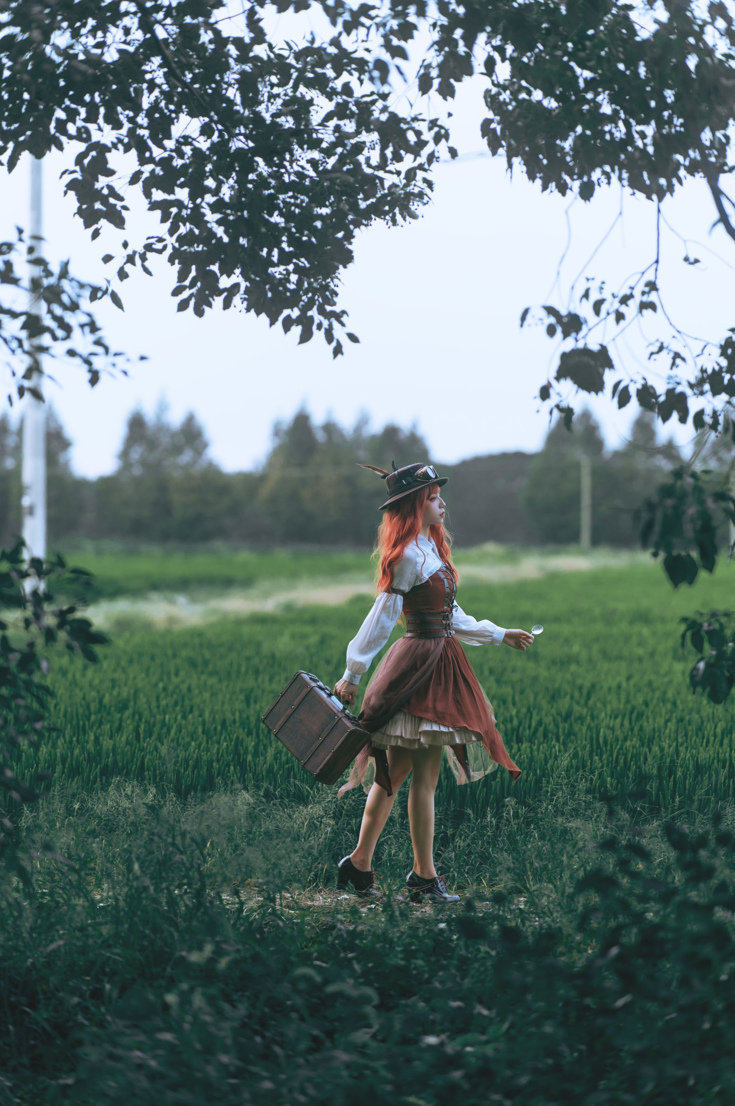 贰加六 – 《神奇植物在哪里》[31P]