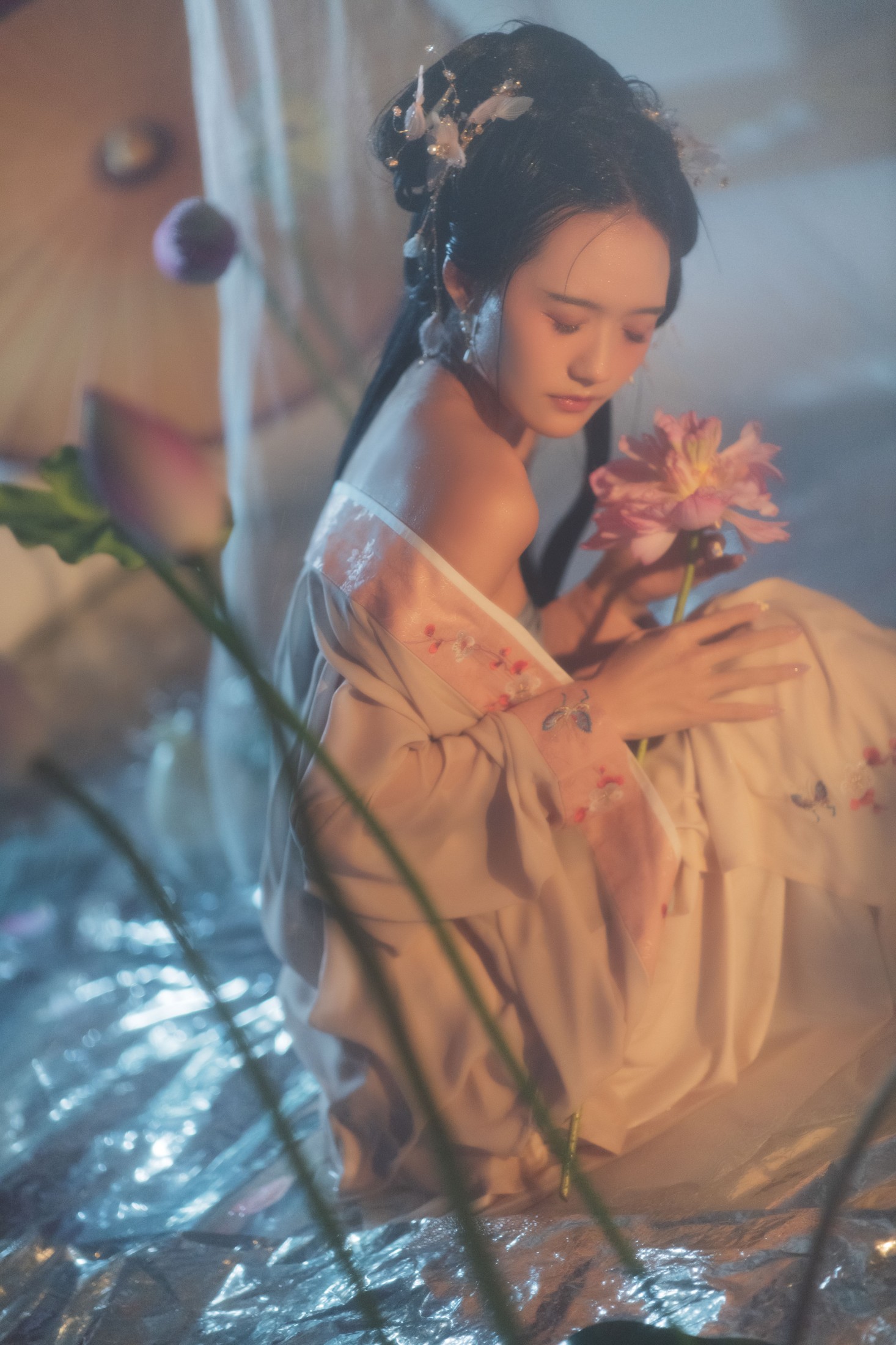 兔子Zzz不吃胡萝卜 – 《清欢》[35P]