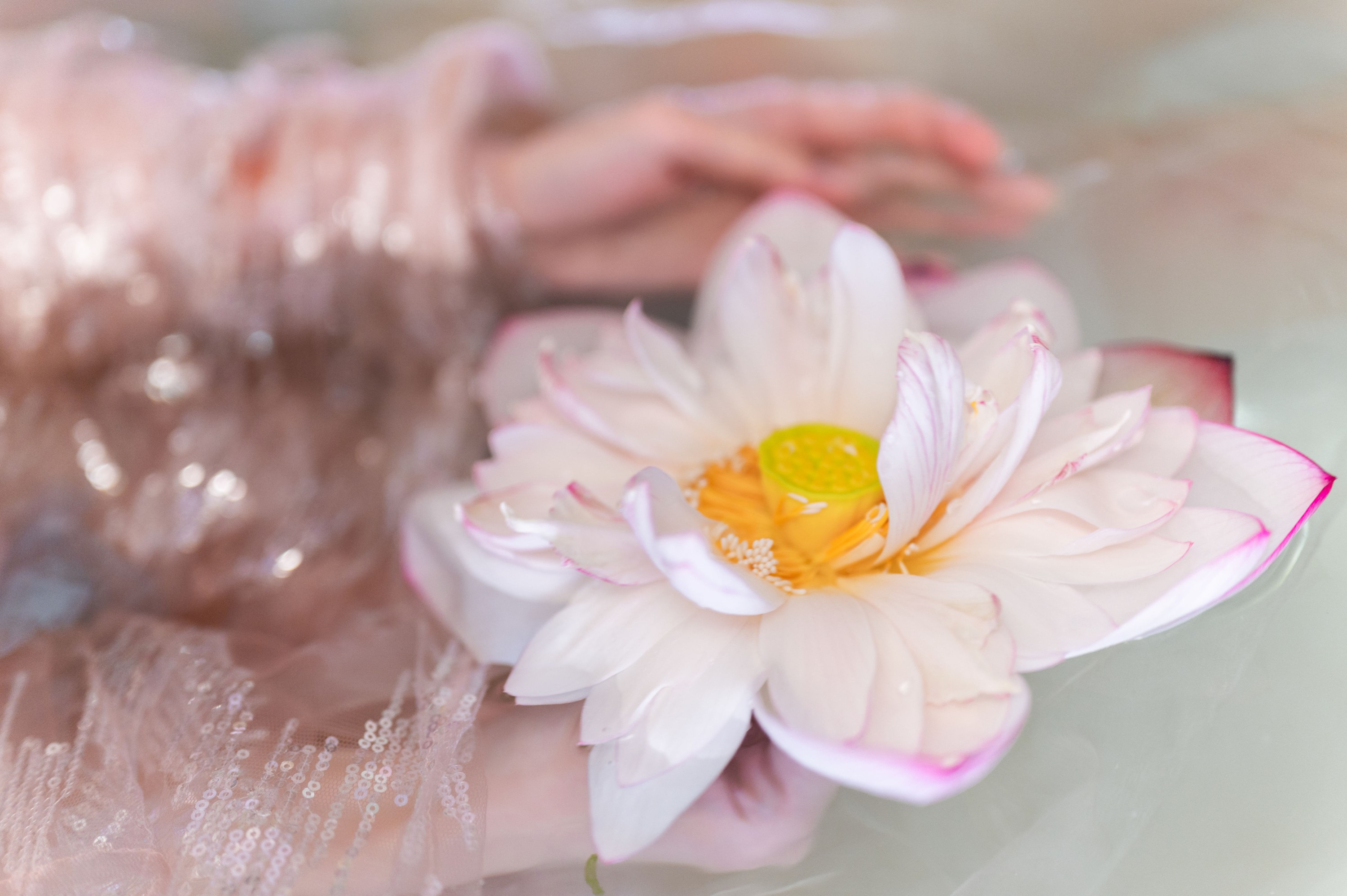 贰加六 – 《真金鱼姬》[28P]