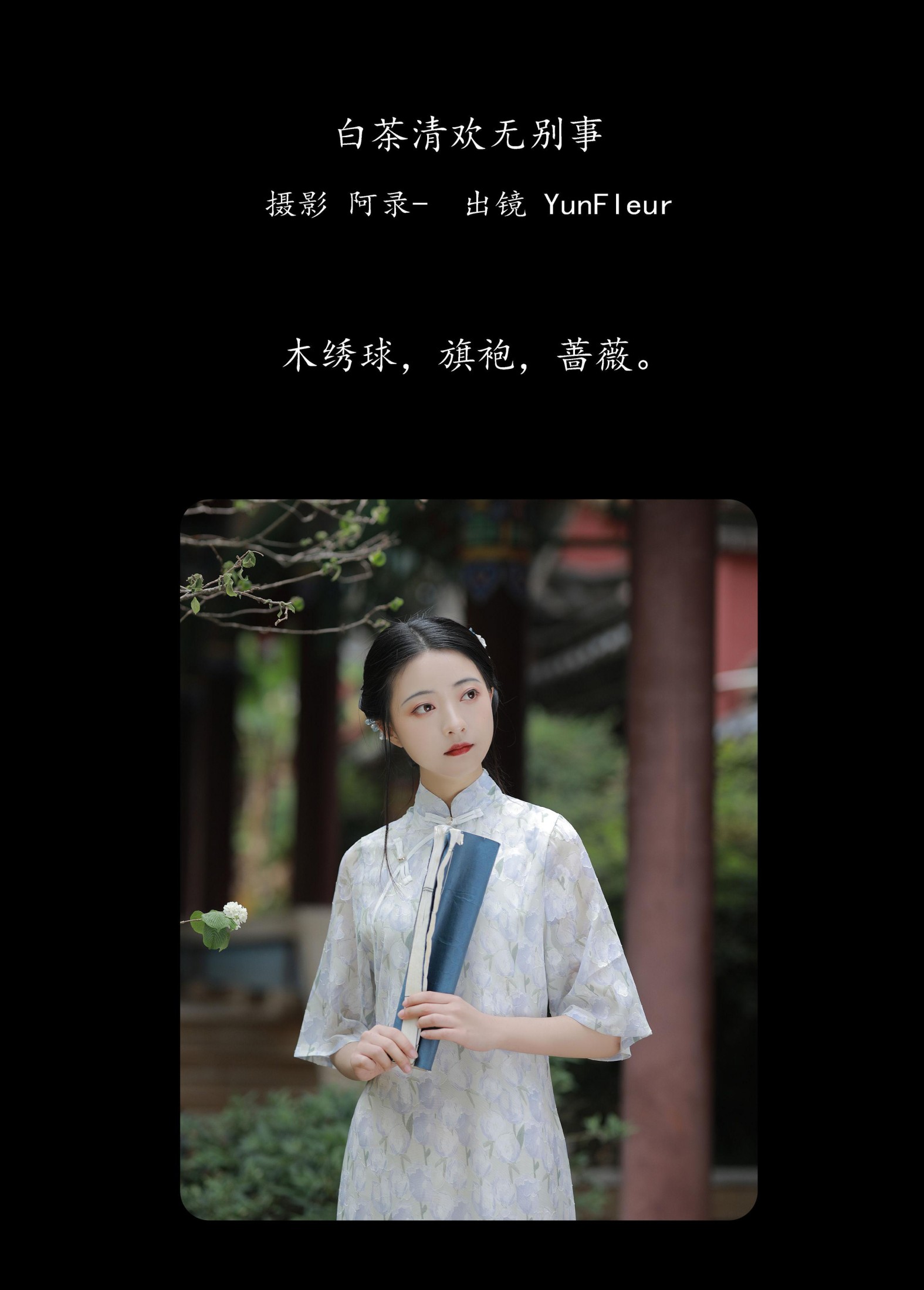 与芳 – 《白茶清欢无别事》[31P]