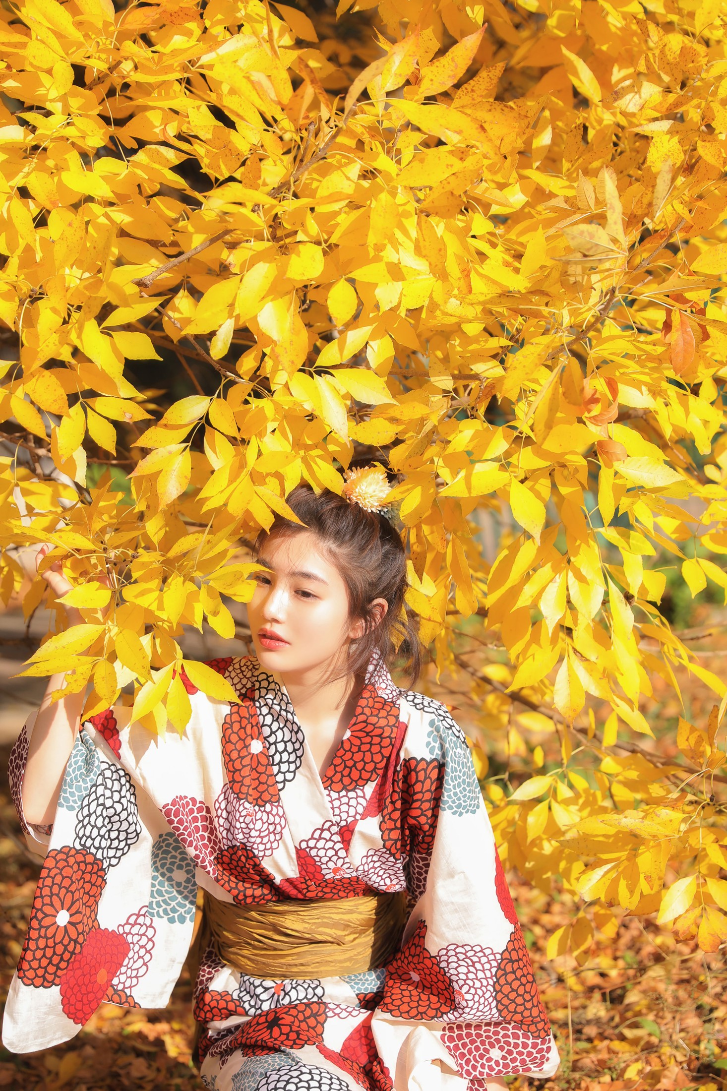 凡凡 – 《京都约定》[24P]