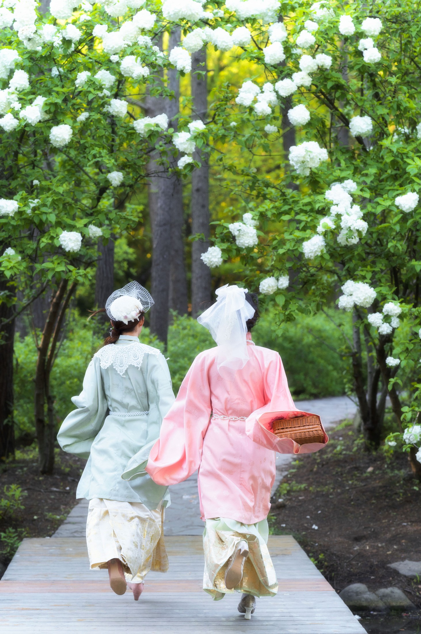 贰加六 兔子Zzz不吃胡萝卜 – 《踏春》[33P]