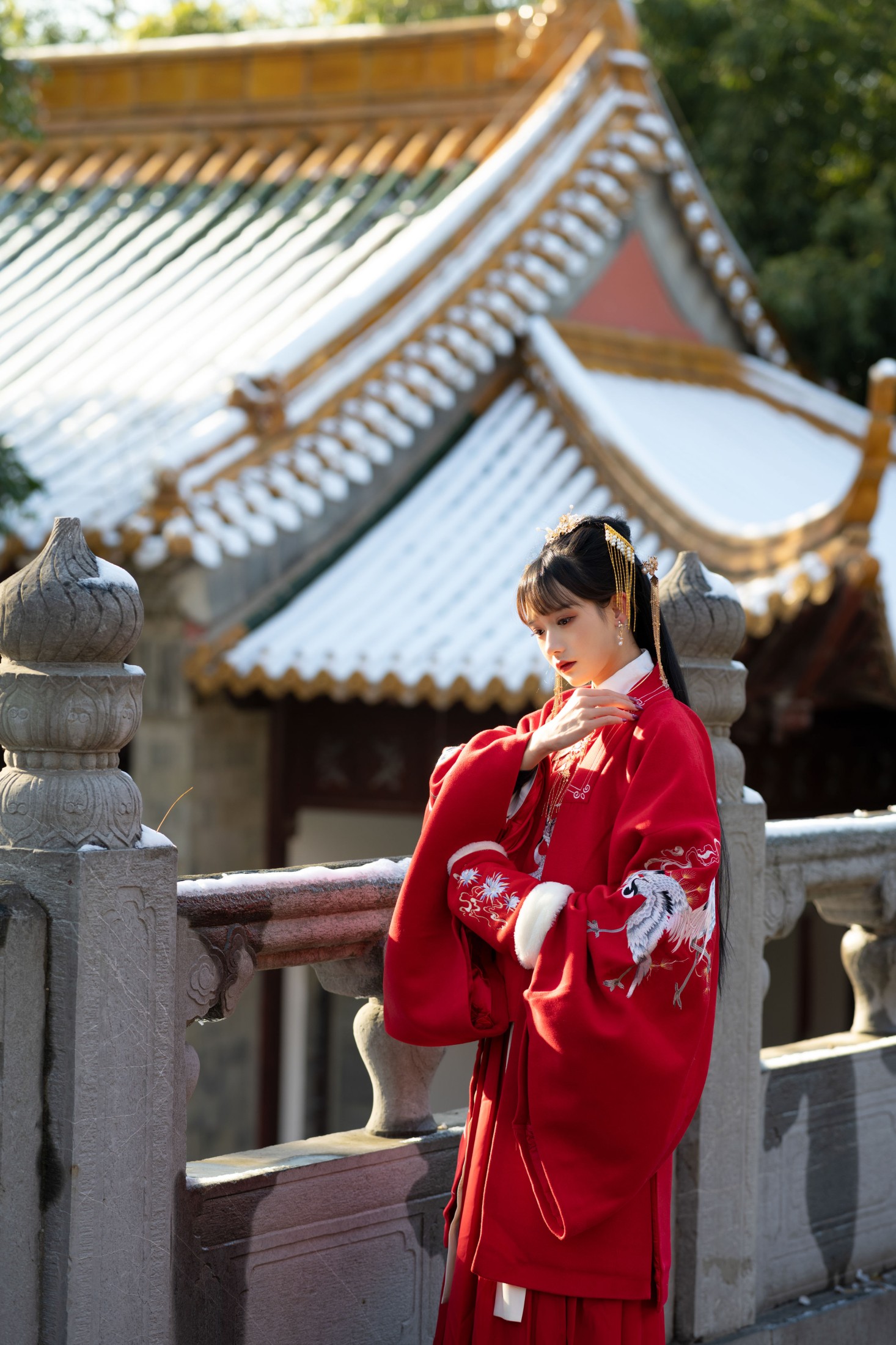 兔子Zzz不吃胡萝卜 – 《深宫雪》[28P]