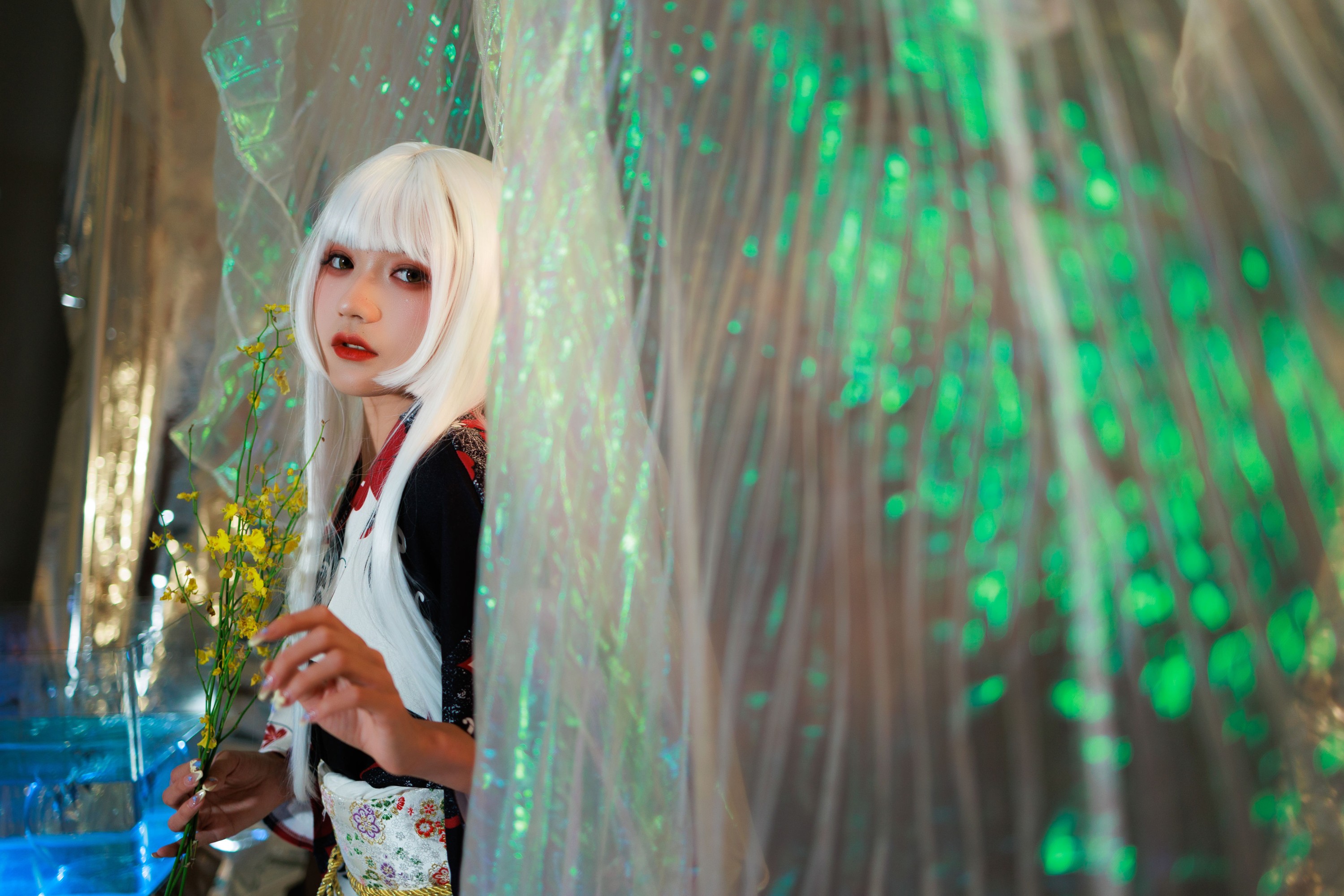 兔子Zzz不吃胡萝卜 – 《白发姬》[43P]