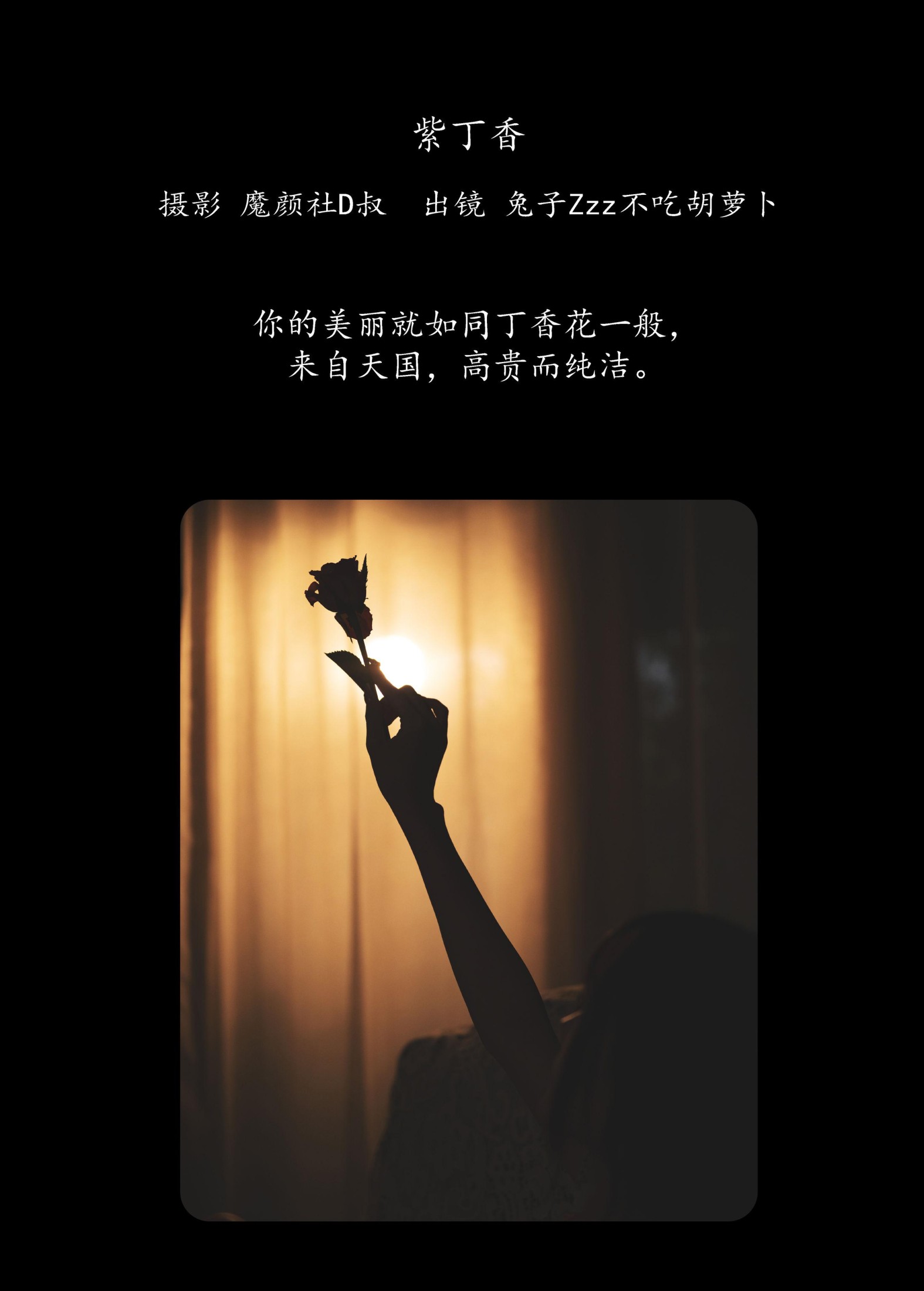 兔子Zzz不吃胡萝卜 – 《紫丁香》[41P]