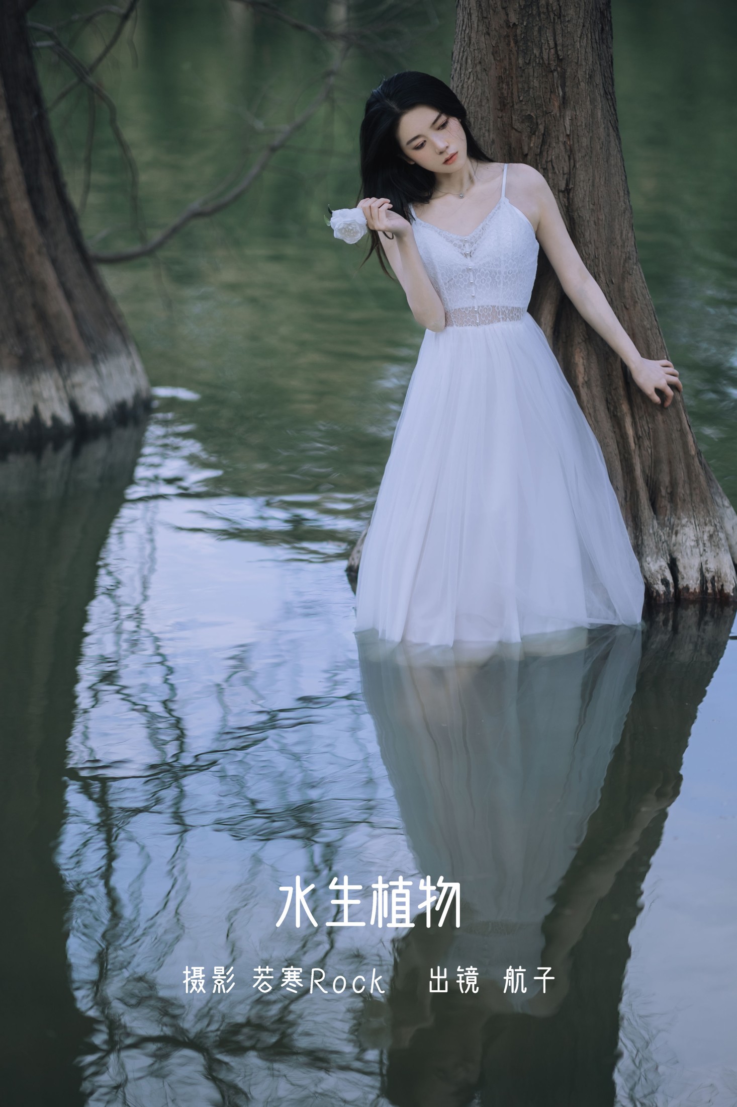 航子就是航子呀 – 《水生植物》[24P] 插图1
